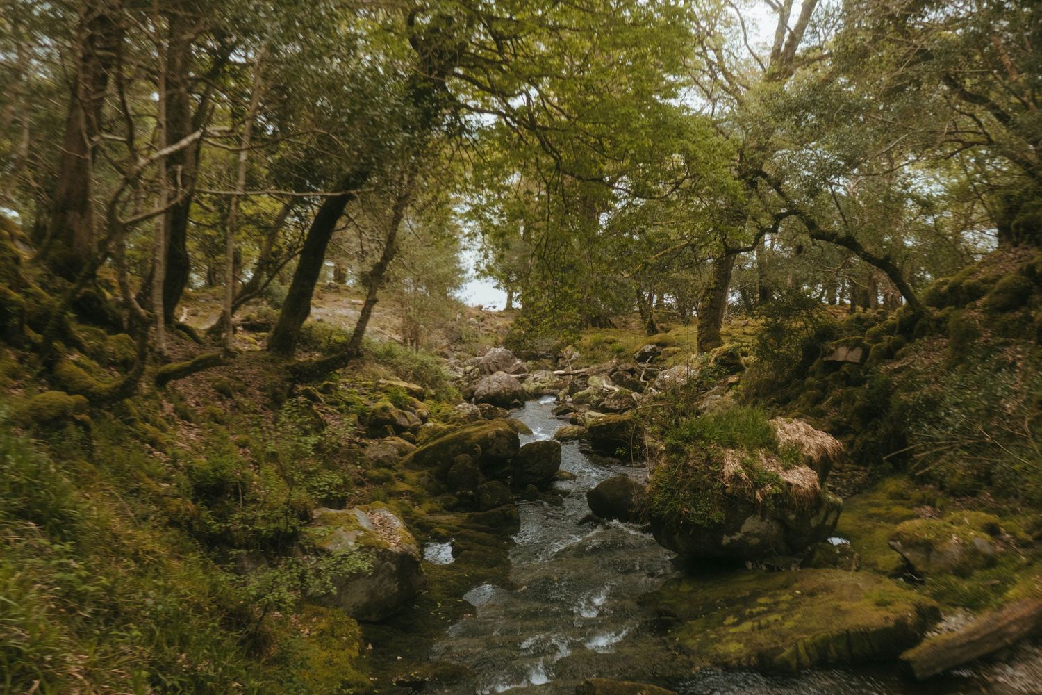 Photograph of Waterfall in Killarney