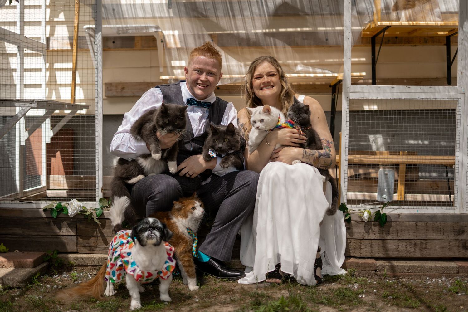 Micro Wedding Elopement Millbury Central MA Massachusetts Same Sex LGBT LGBTQA+ Two Brides Backyard Pets Cat
