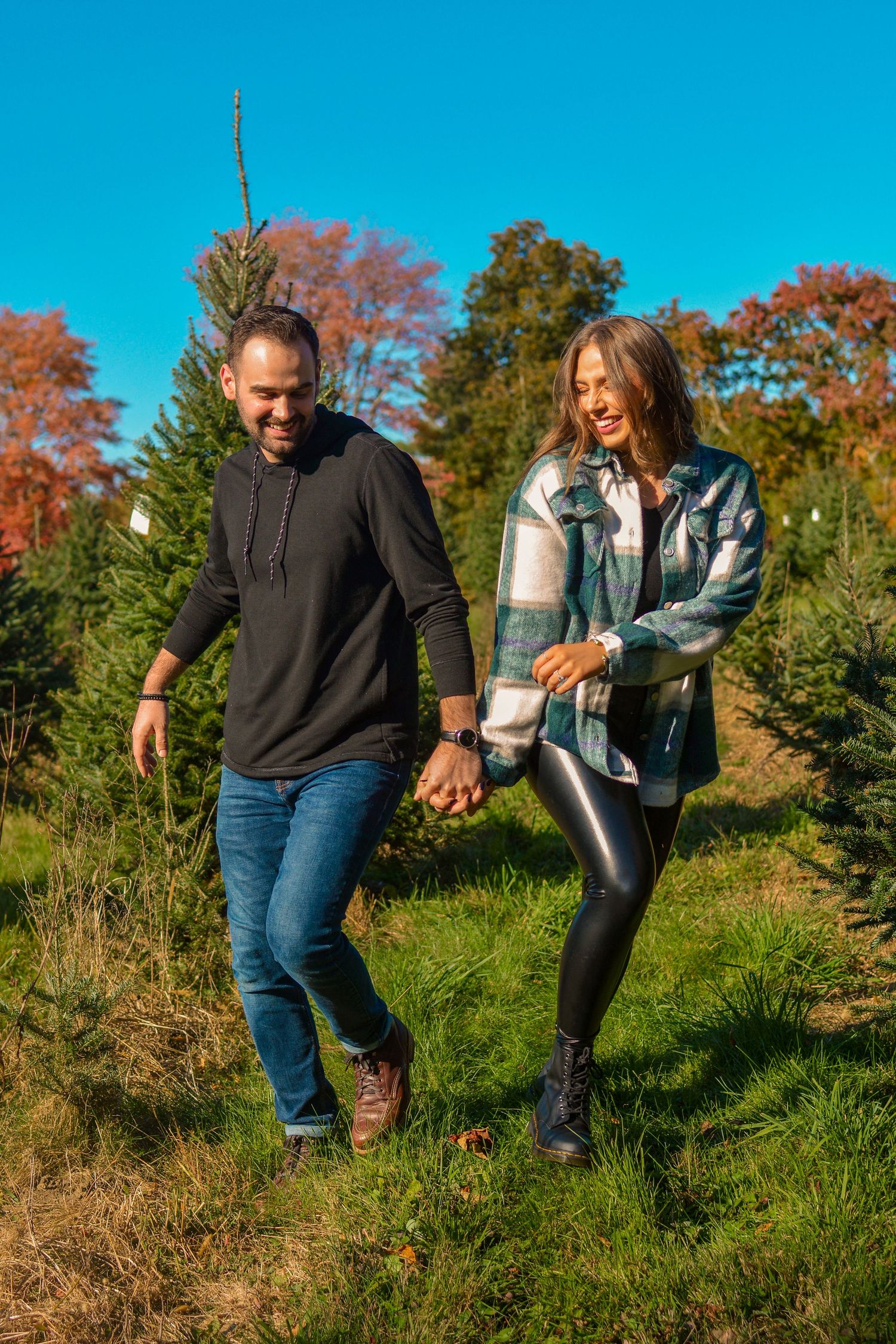 Happy couple holding hands walking through a Christmas tree farm on a sunny autumn day.