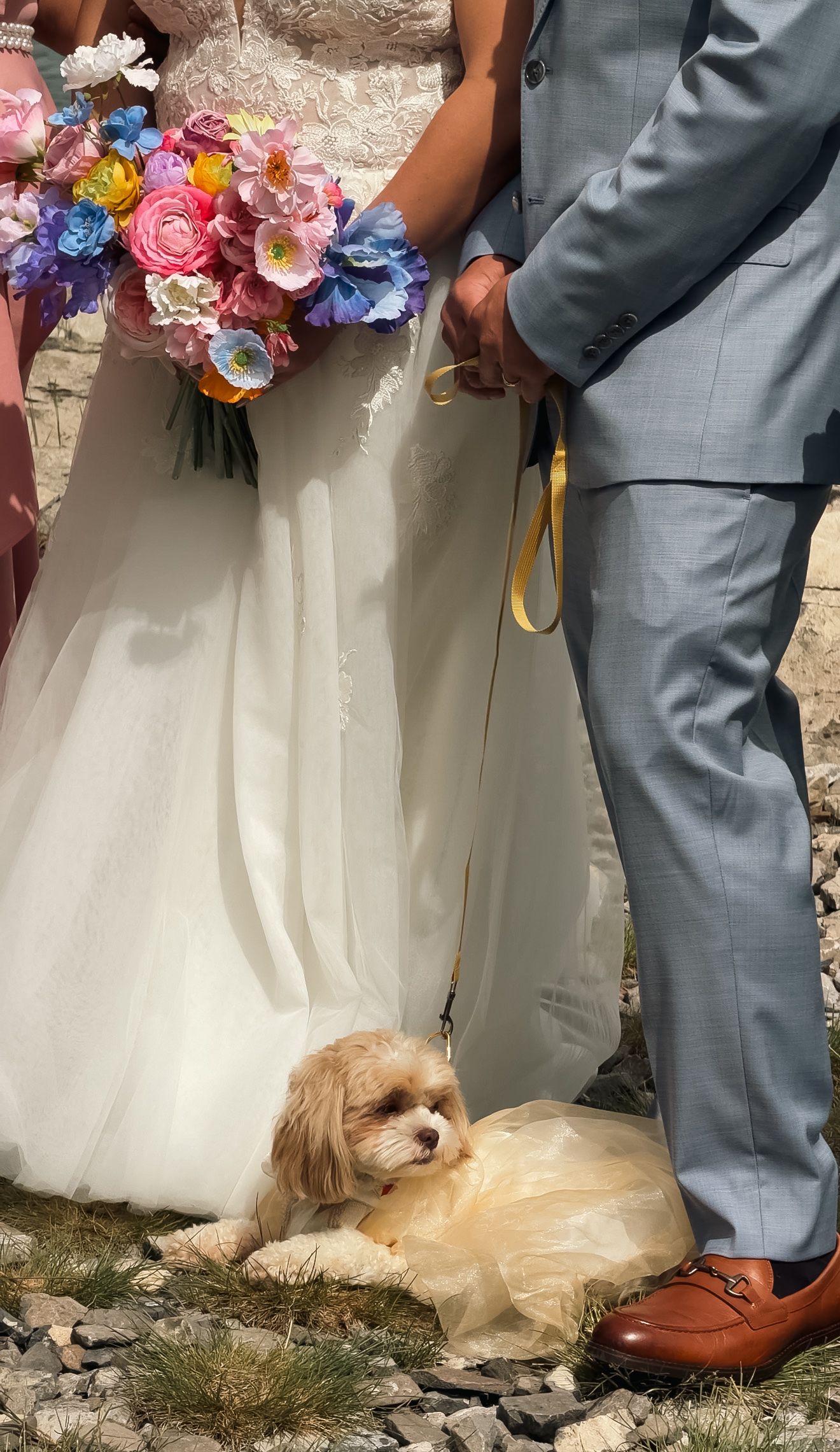 Small fluffy dog sitting at feet of bride and groom holding colorful bouquet during outdoor wedding ceremony.