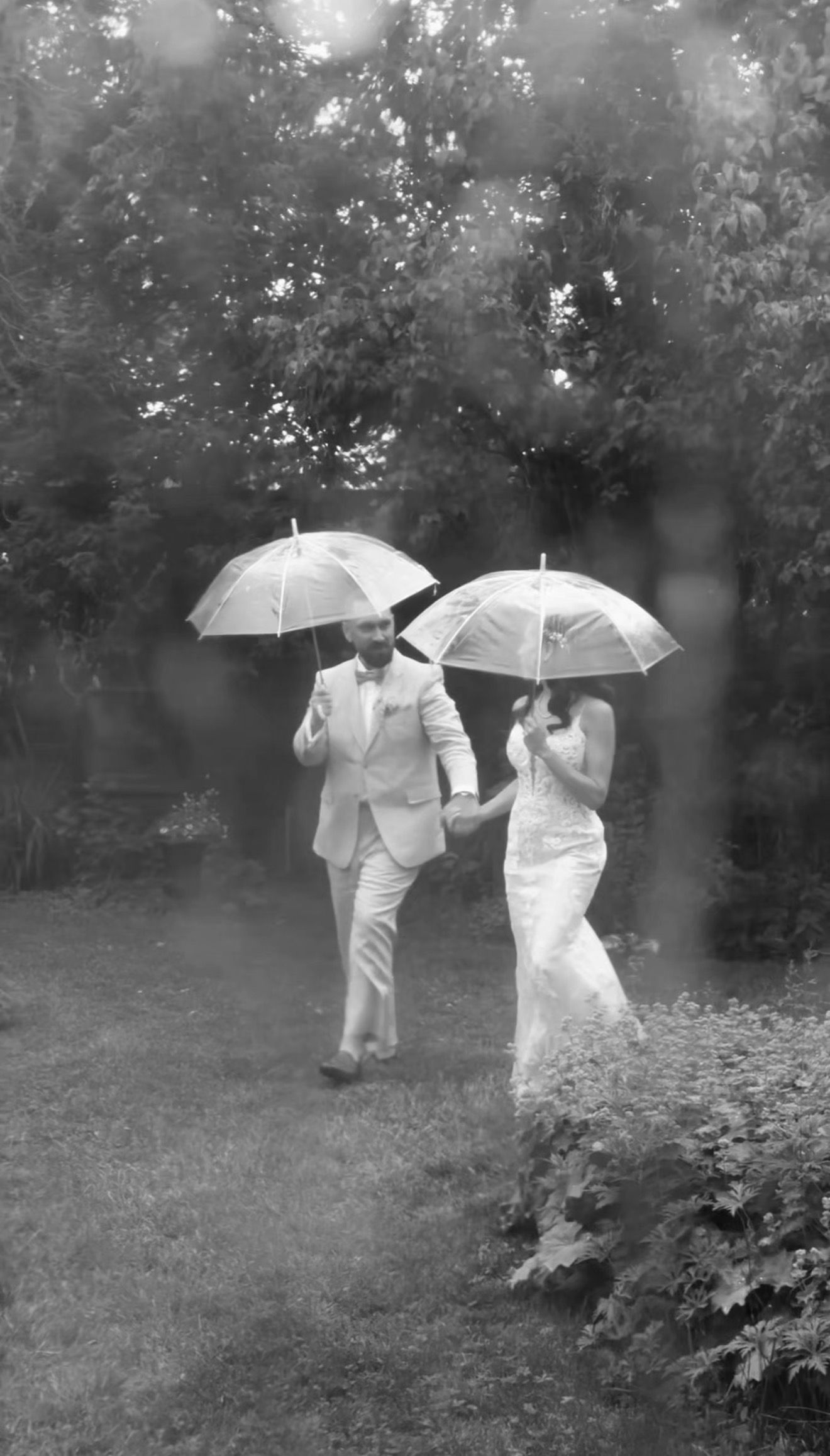 Black and white photo of bride and groom walking in garden rain under clear umbrellas.
