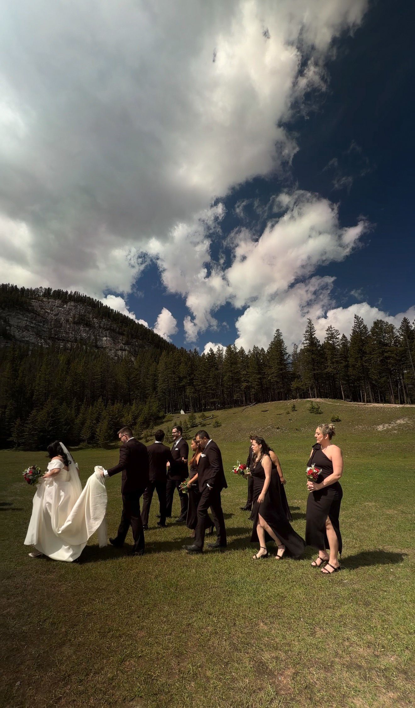 Wedding party walks across green meadow with dramatic mountain backdrop and dynamic cloudy sky in Banff.