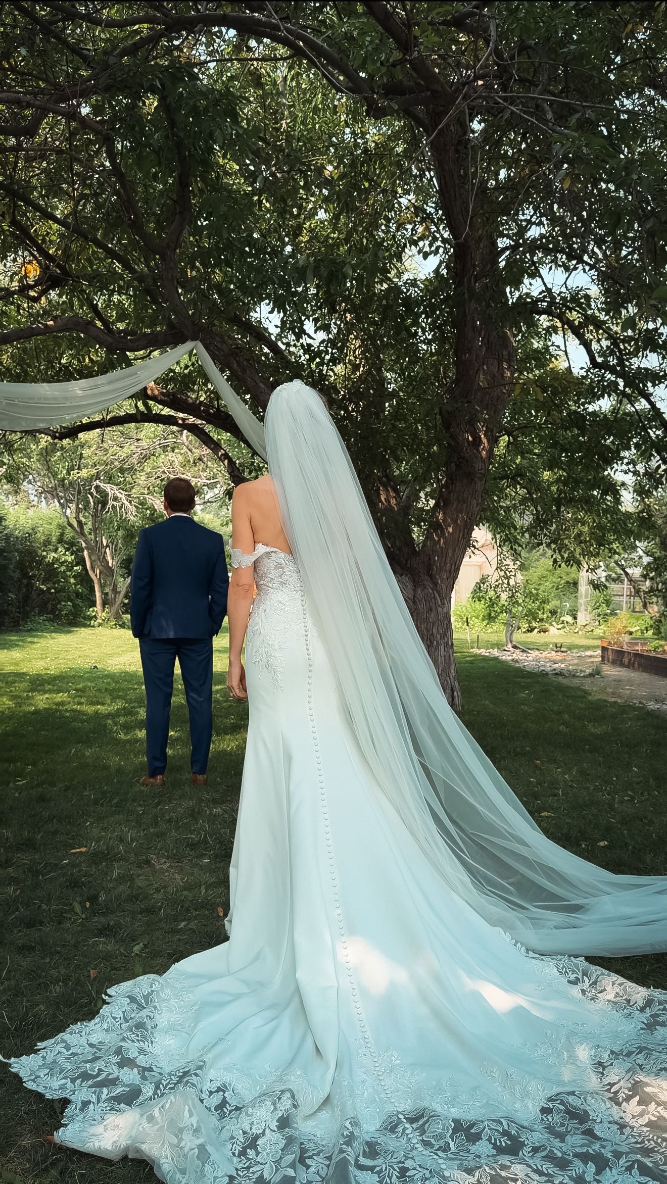 Bride in lace mermaid gown with cathedral veil stands with groom under garden tree.