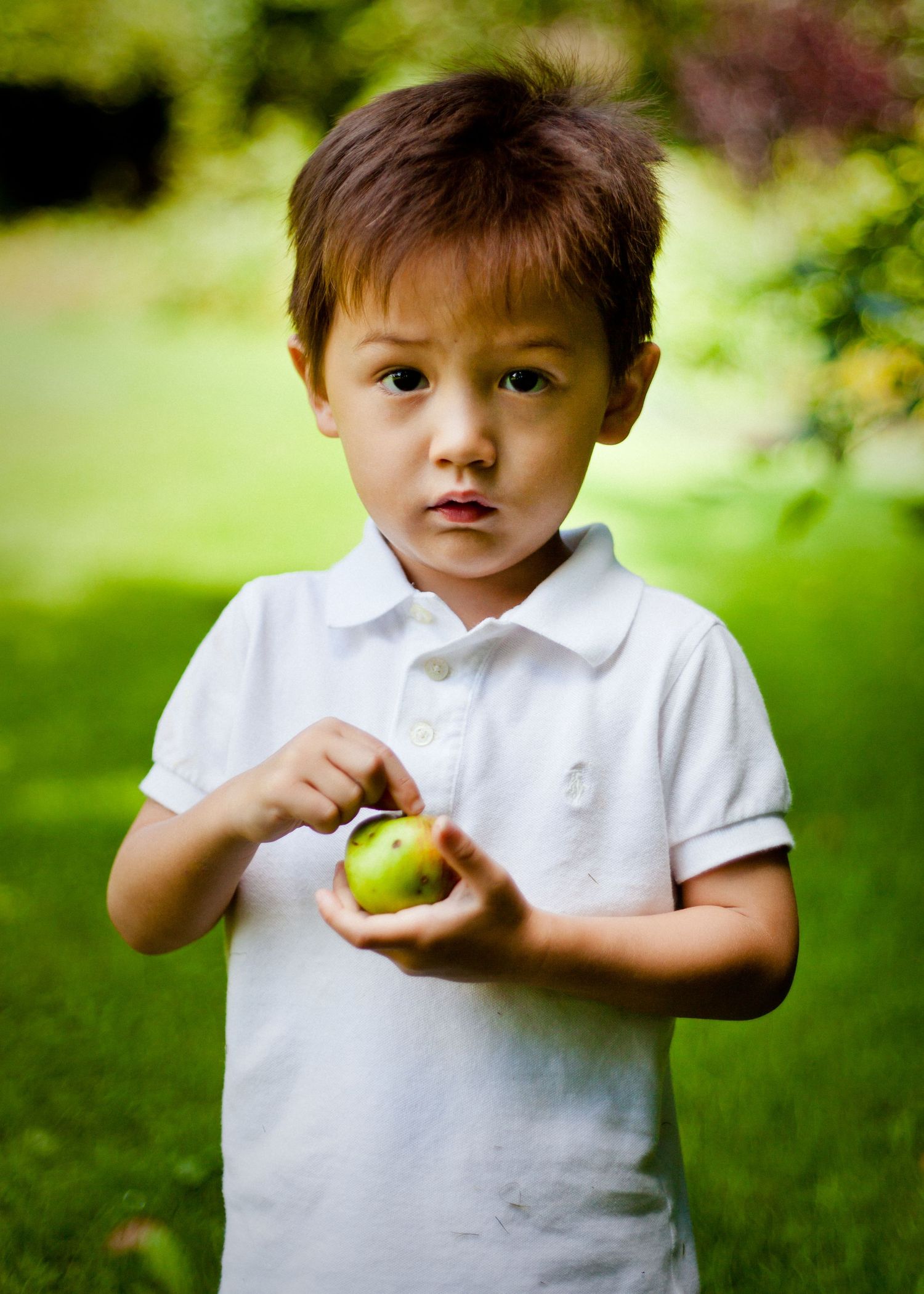 Young boy in white polo shirt holding a green apple in lush garden setting.