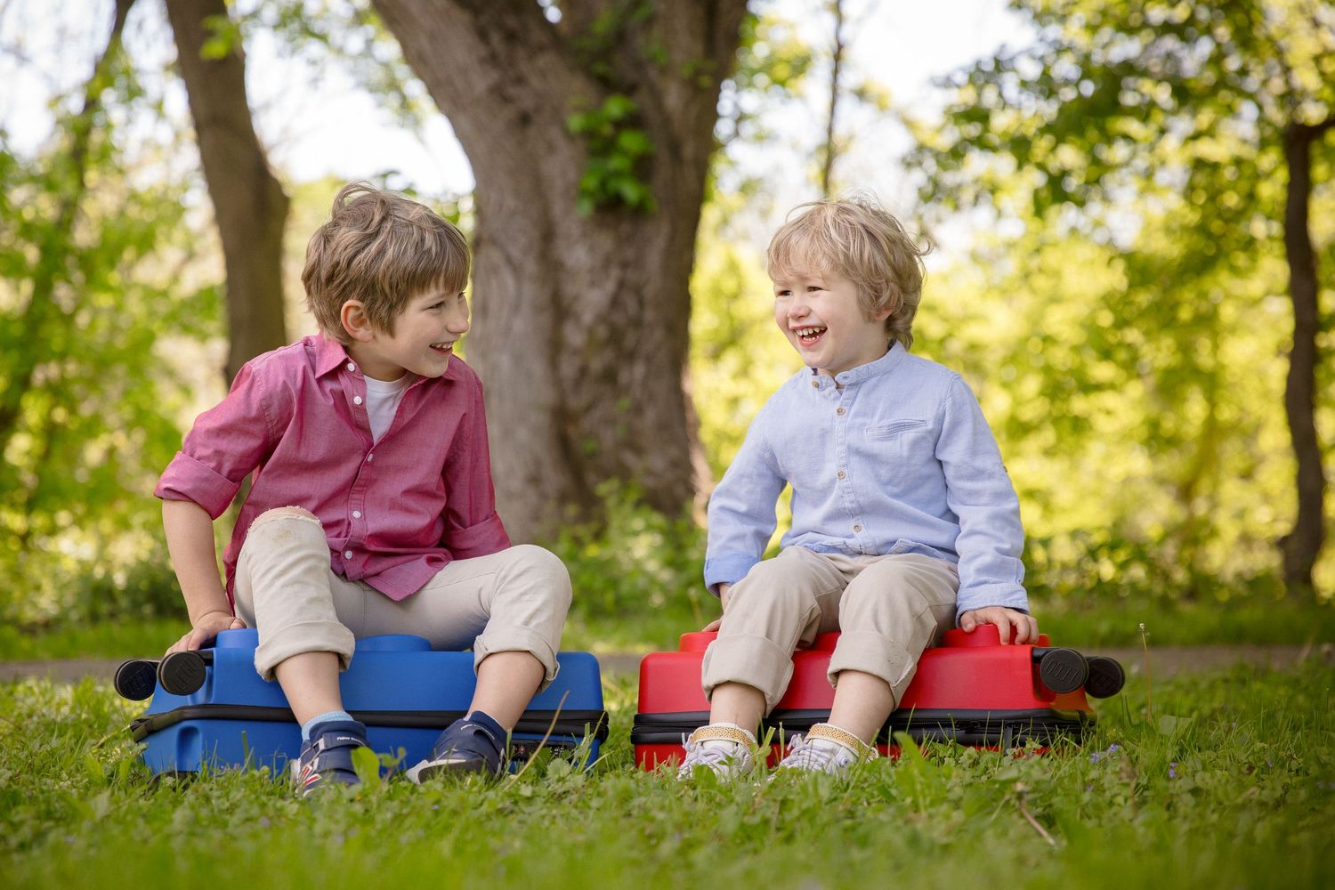 Two young boys sitting on colorful toy ride-ons in a sunny park, laughing and enjoying outdoor playtime together.