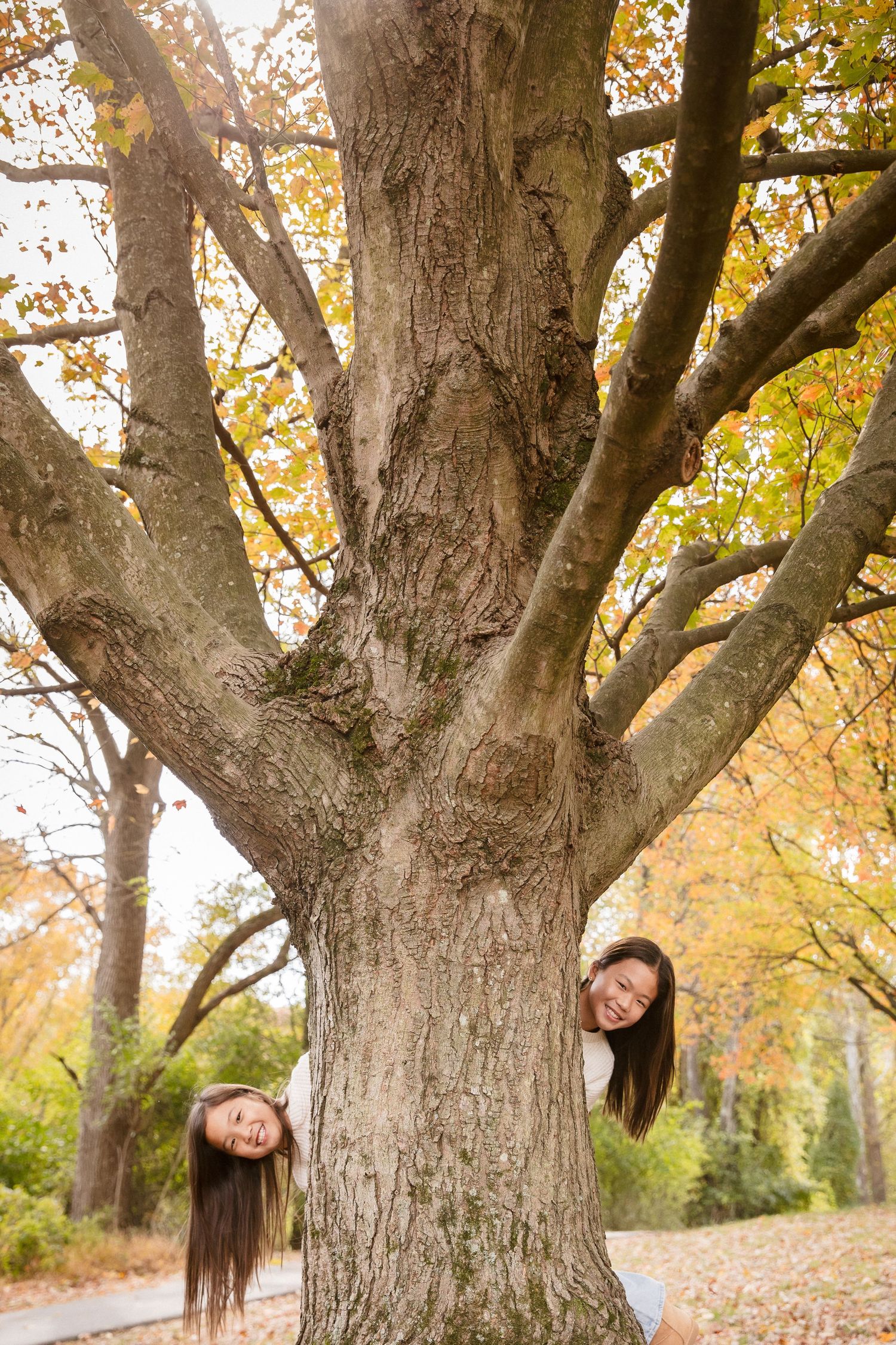 Two girls peek playfully from behind a large tree trunk surrounded by colorful autumn foliage.