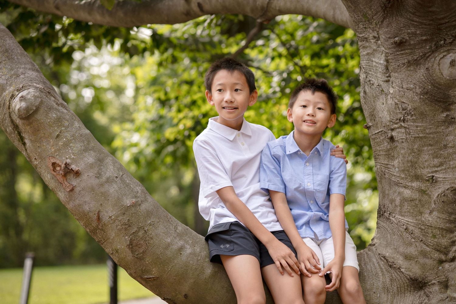 Two young boys sitting together on a large tree branch in a lush green park, smiling at the camera.