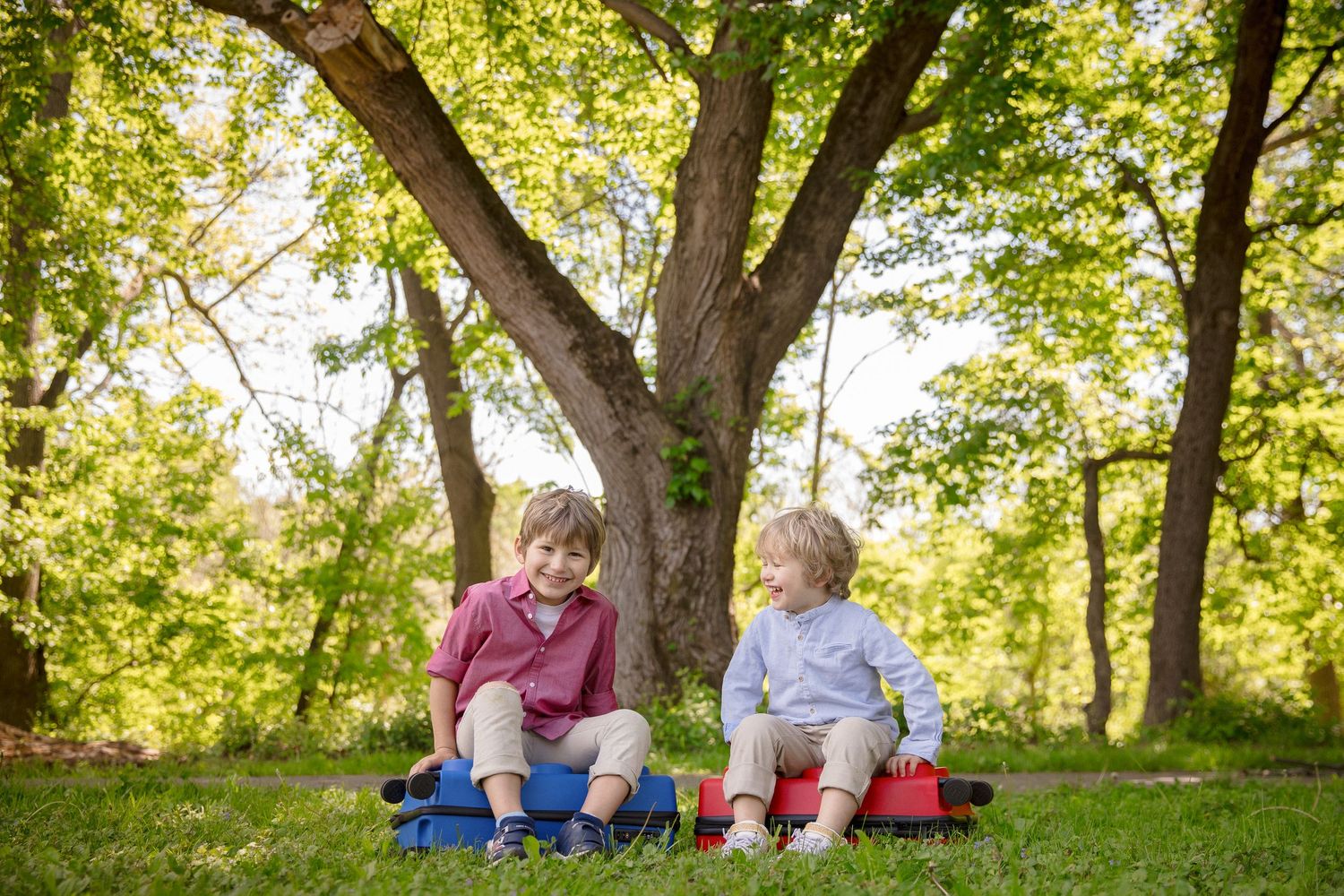 Two young boys sitting on colorful luggage under a large tree in a lush green park.