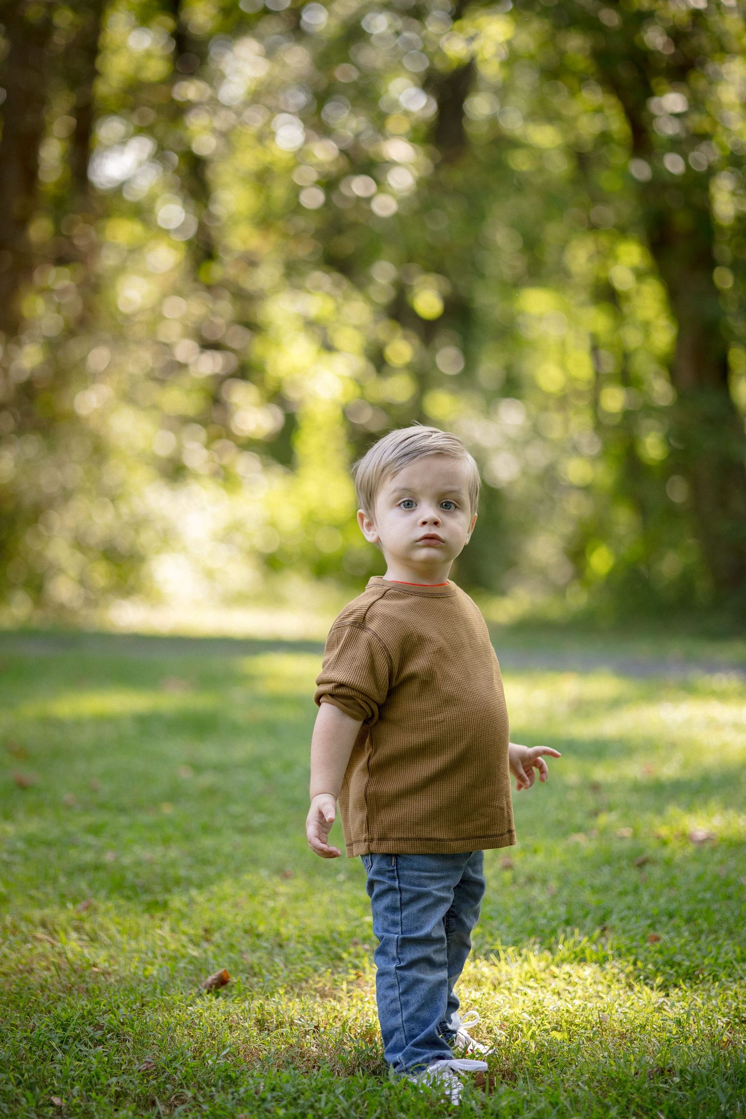 Toddler boy in brown shirt and jeans standing on green grass in a sunlit park.