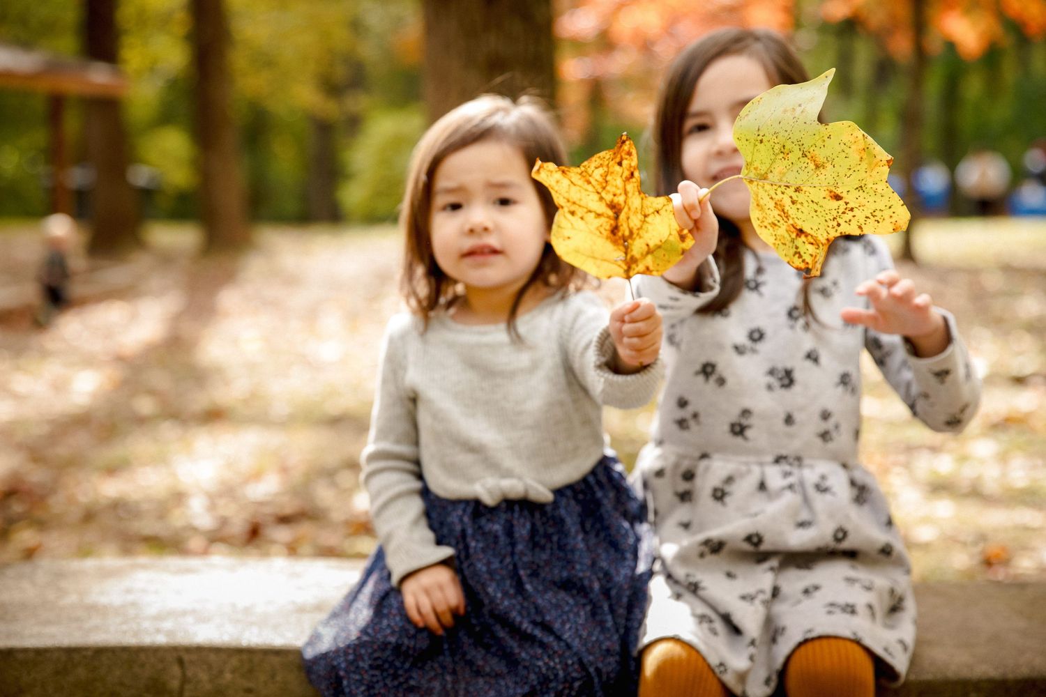 Two toddler girls sit on a bench holding large yellow autumn leaves in a fall park.