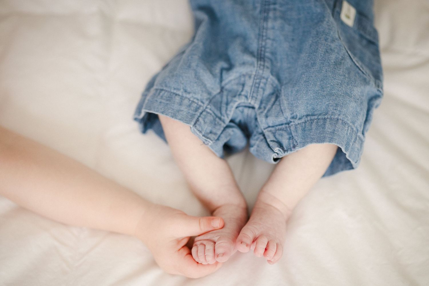 Adult hand gently holds tiny baby feet dressed in denim overalls on a white surface.