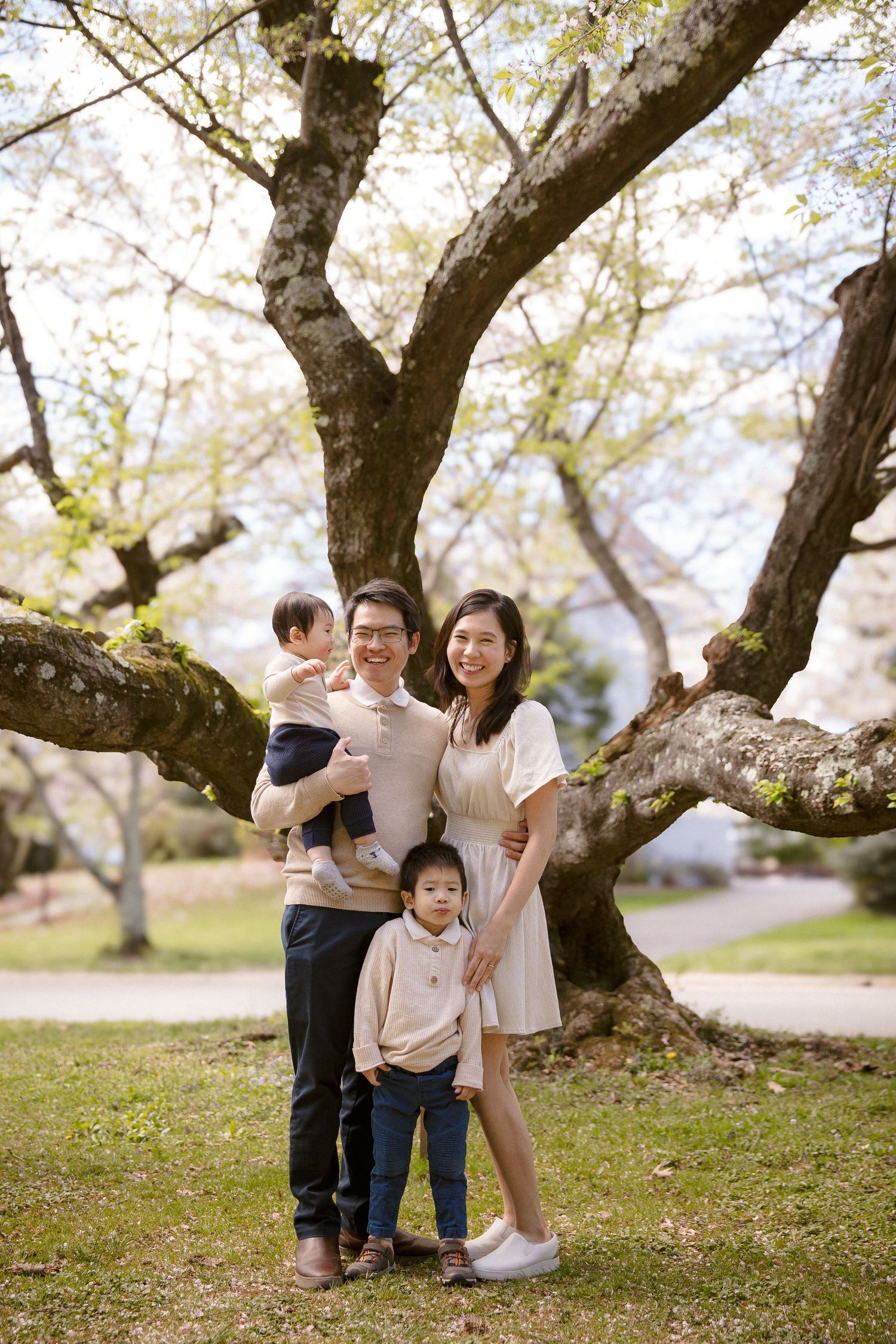 Smiling Asian family of four posing together in a park beside a large cherry blossom tree in spring.