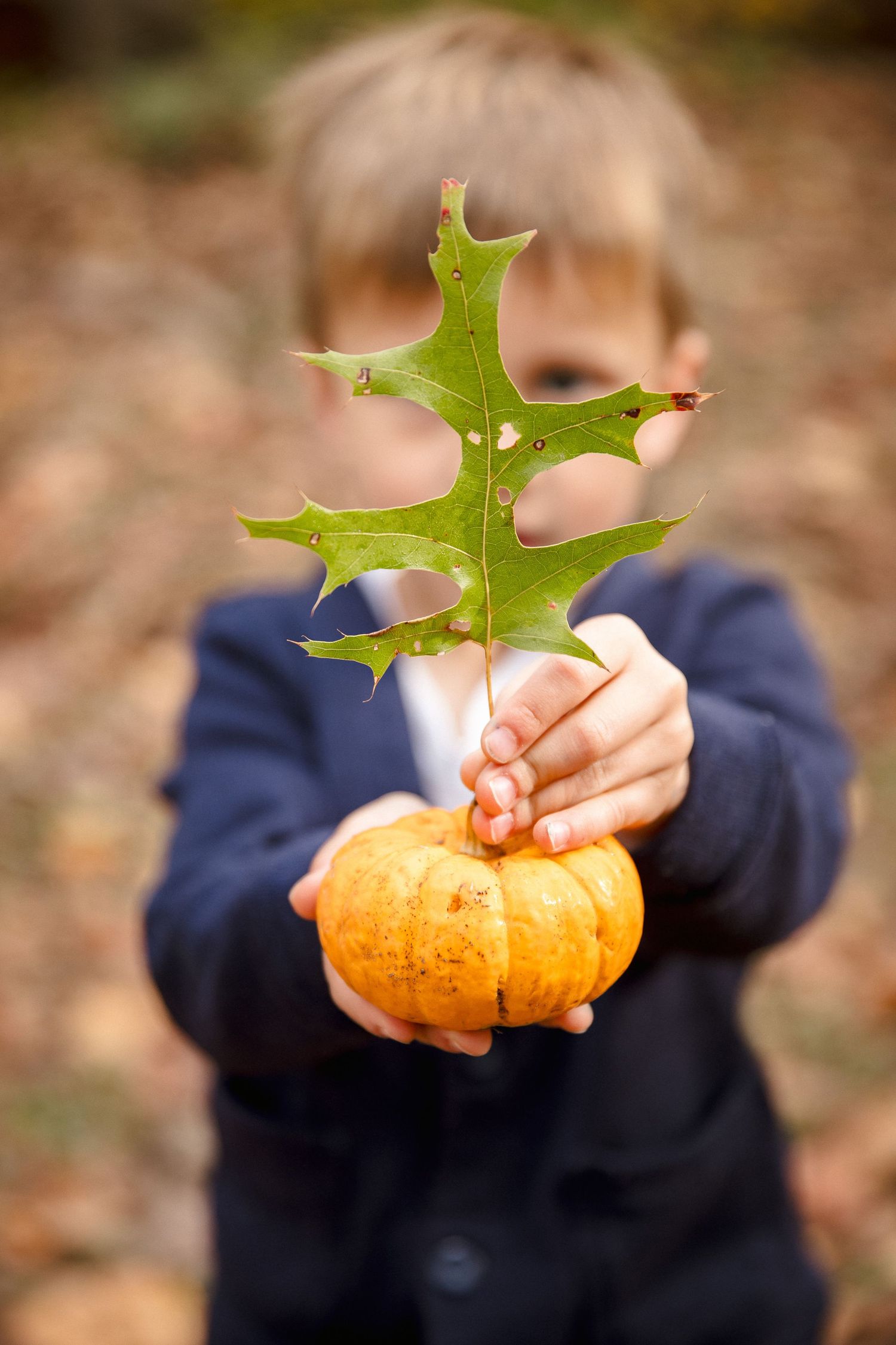 Child in navy blazer holding a tiny pumpkin with an oak leaf in autumn woods.