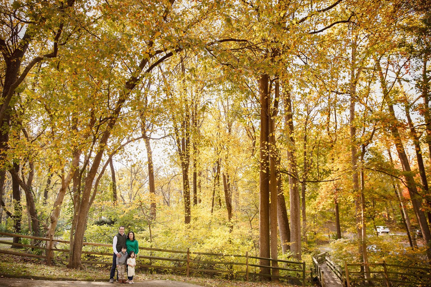 Family walking on a path surrounded by vibrant golden autumn trees in a scenic park.