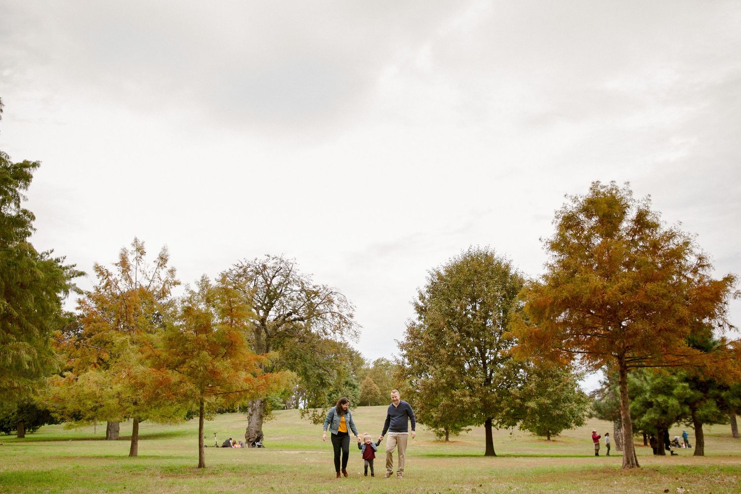 Family walking hand-in-hand through a spacious park surrounded by colorful autumn trees.