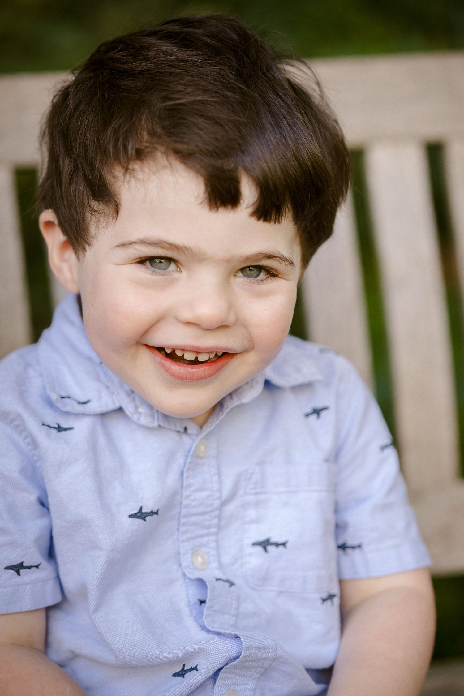 Happy young boy with dark hair and blue eyes smiling on a wooden bench wearing a shark print shirt.