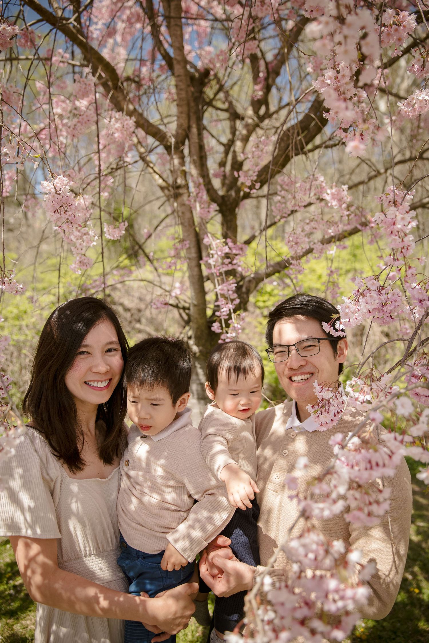 Happy Asian family with two toddlers smiling together under blooming pink cherry blossom trees in spring.