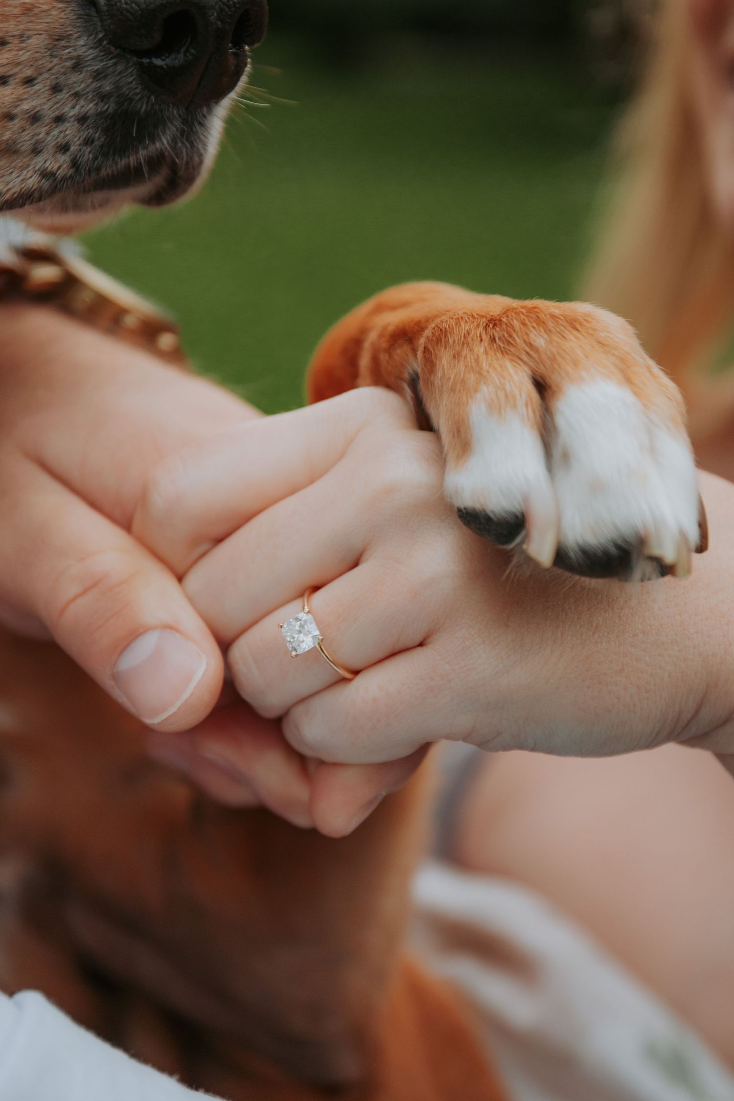Burlington Portrait & Wedding Photographer. Ottawa Portrait & wedding Photographer