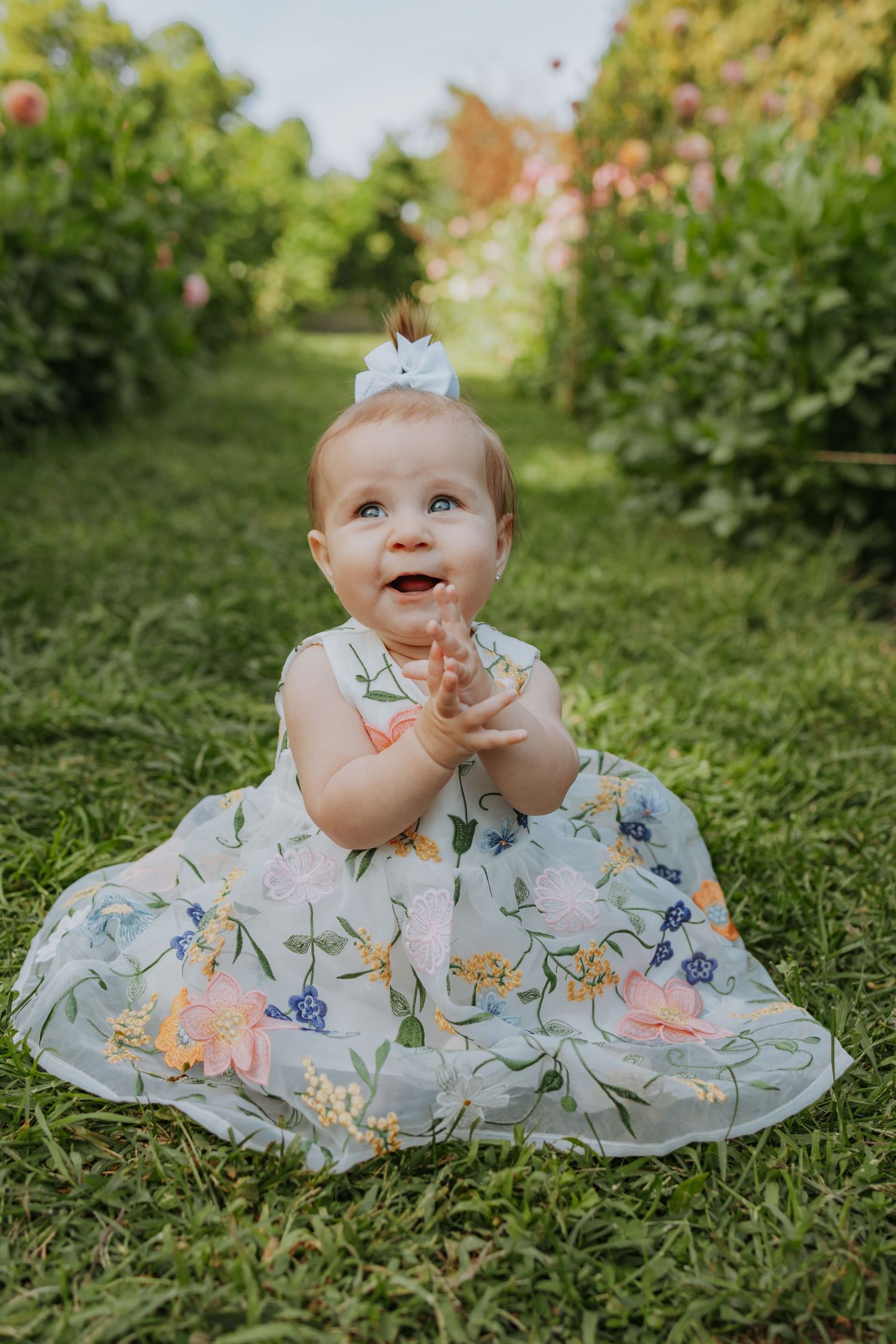 Burlington Portrait & Wedding Photographer. All Who Wonder Flower Farm, Dundas, Ontario
