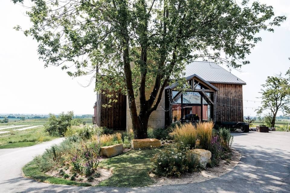 A scenic rural road winds through lush green countryside with trees and rustic buildings along the way.