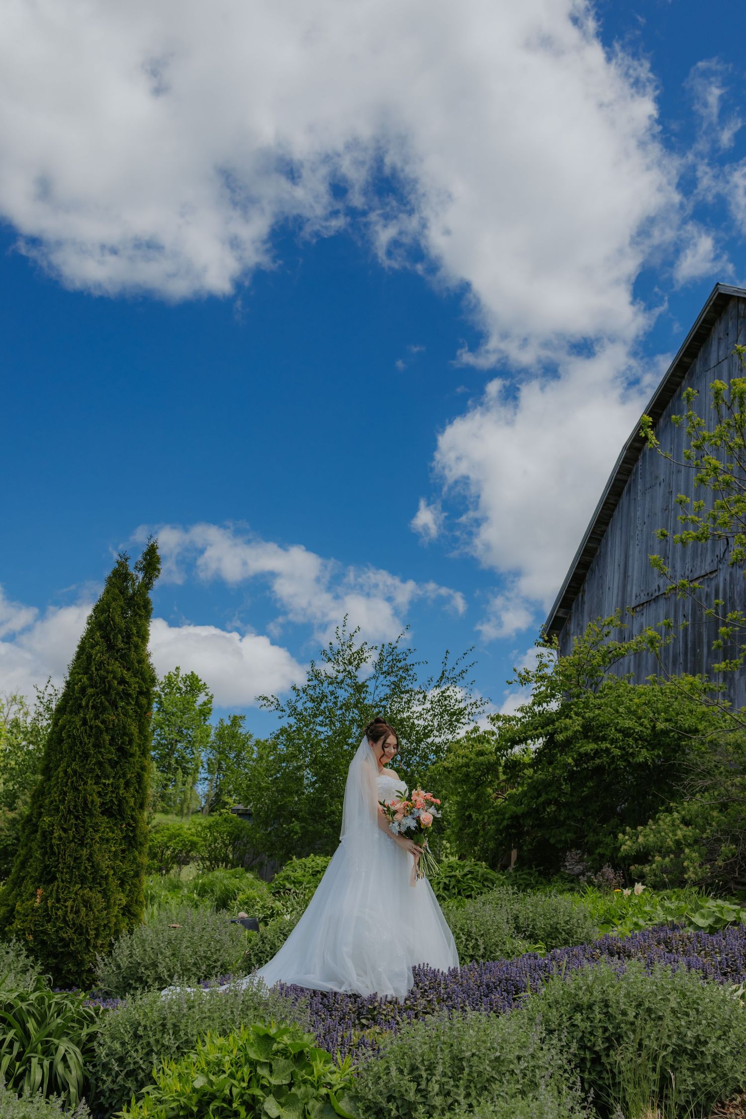 Bride in white gown holding bouquet stands in lush garden with barn and blue sky backdrop.