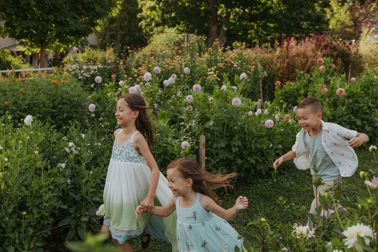 Burlington Portrait & Wedding Photographer.  All Who Wonder Flower Farm, Dundas, Ontario