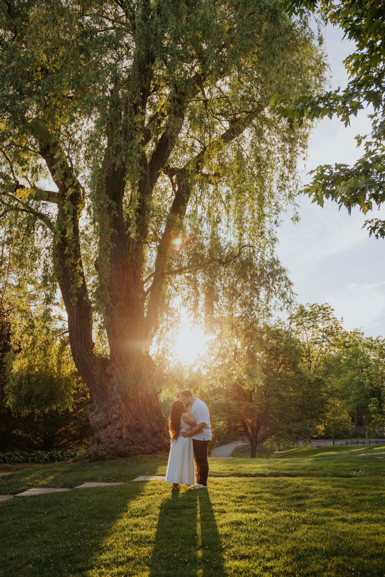 Couple embracing under a large willow tree at golden hour sunset in a lush green park.