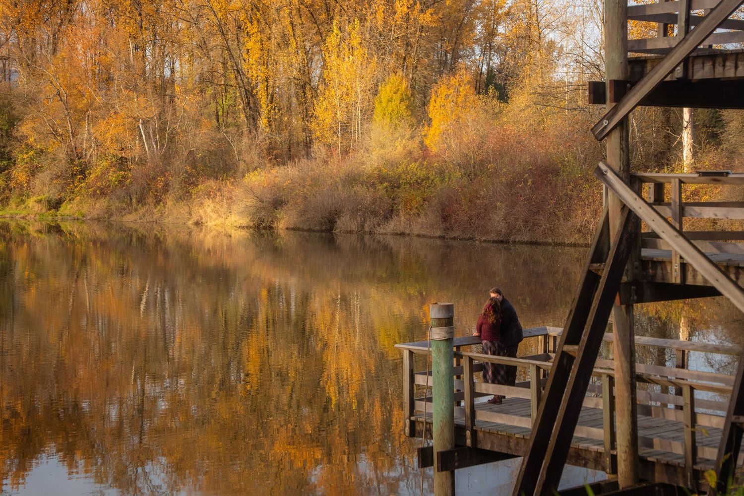 Person sitting alone on wooden dock surrounded by vibrant golden autumn foliage reflecting in calm river.