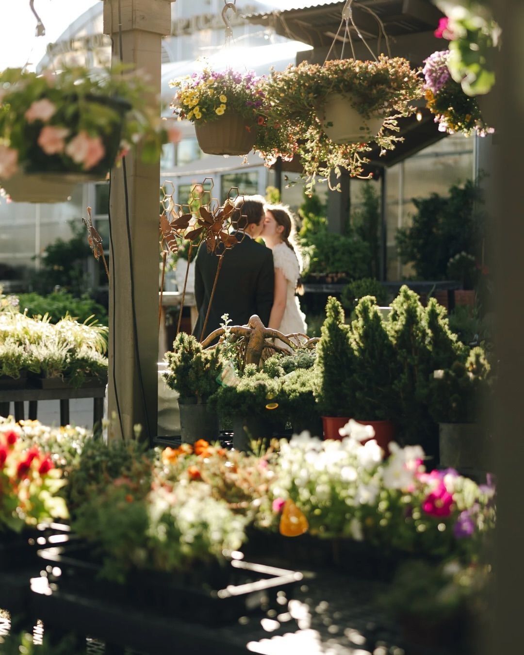 Couple sharing a romantic kiss surrounded by colorful flowers and hanging baskets at a charming outdoor flower market.