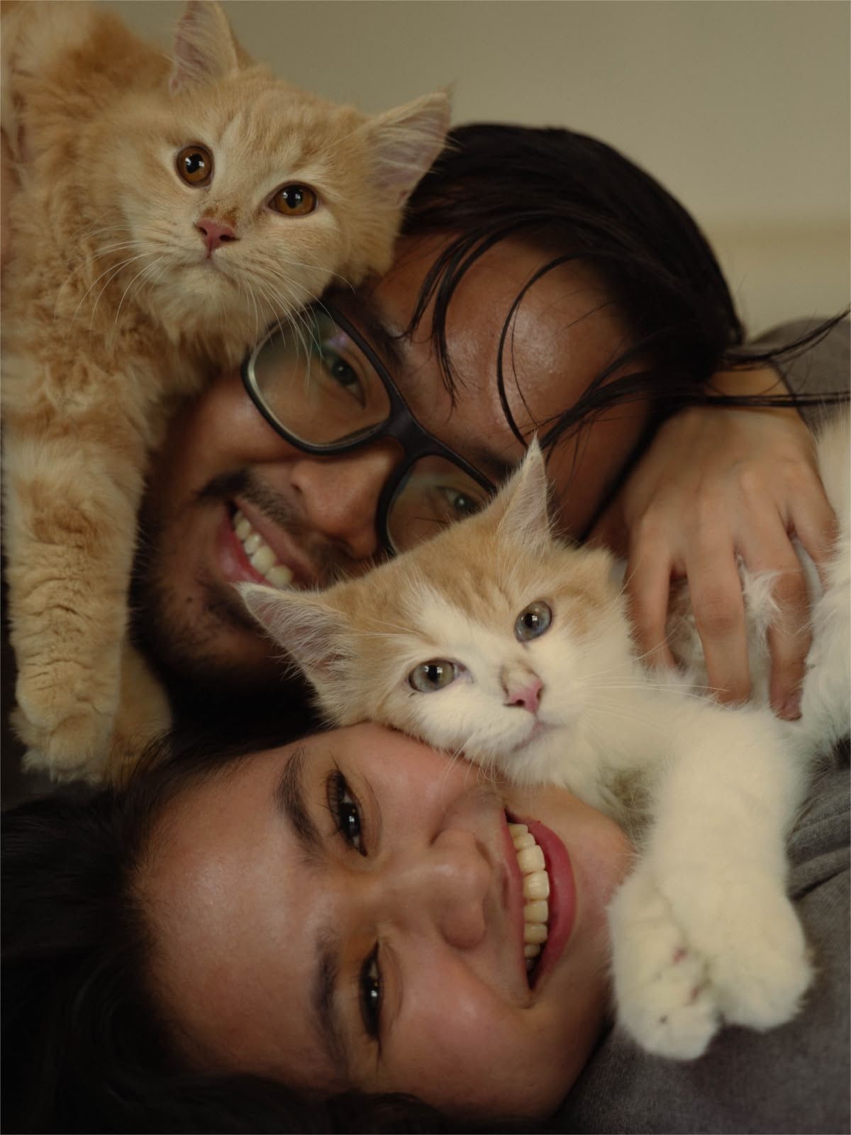 Two smiling people posing with an adult orange cat and a small cream kitten draped playfully across their faces.