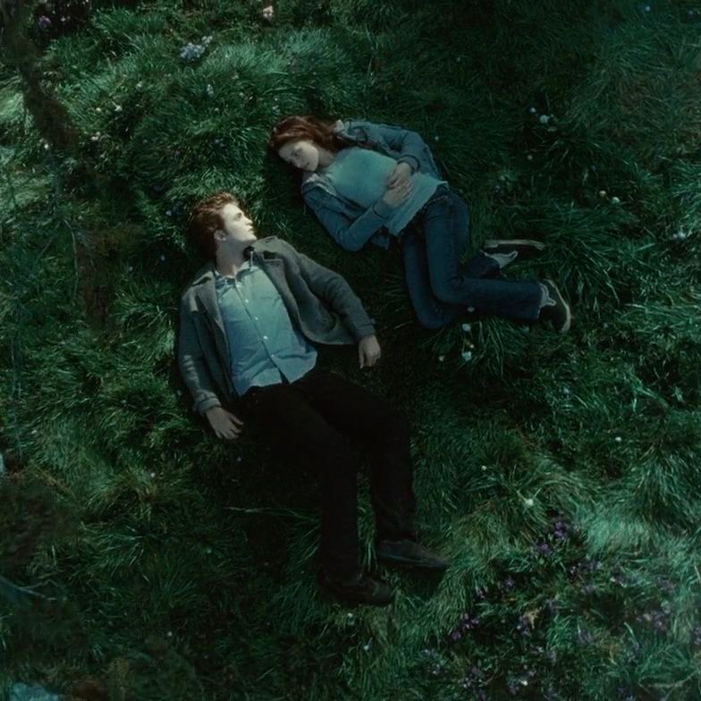 Two people lying on lush green grass among wildflowers, viewed from above in a cinematic scene.