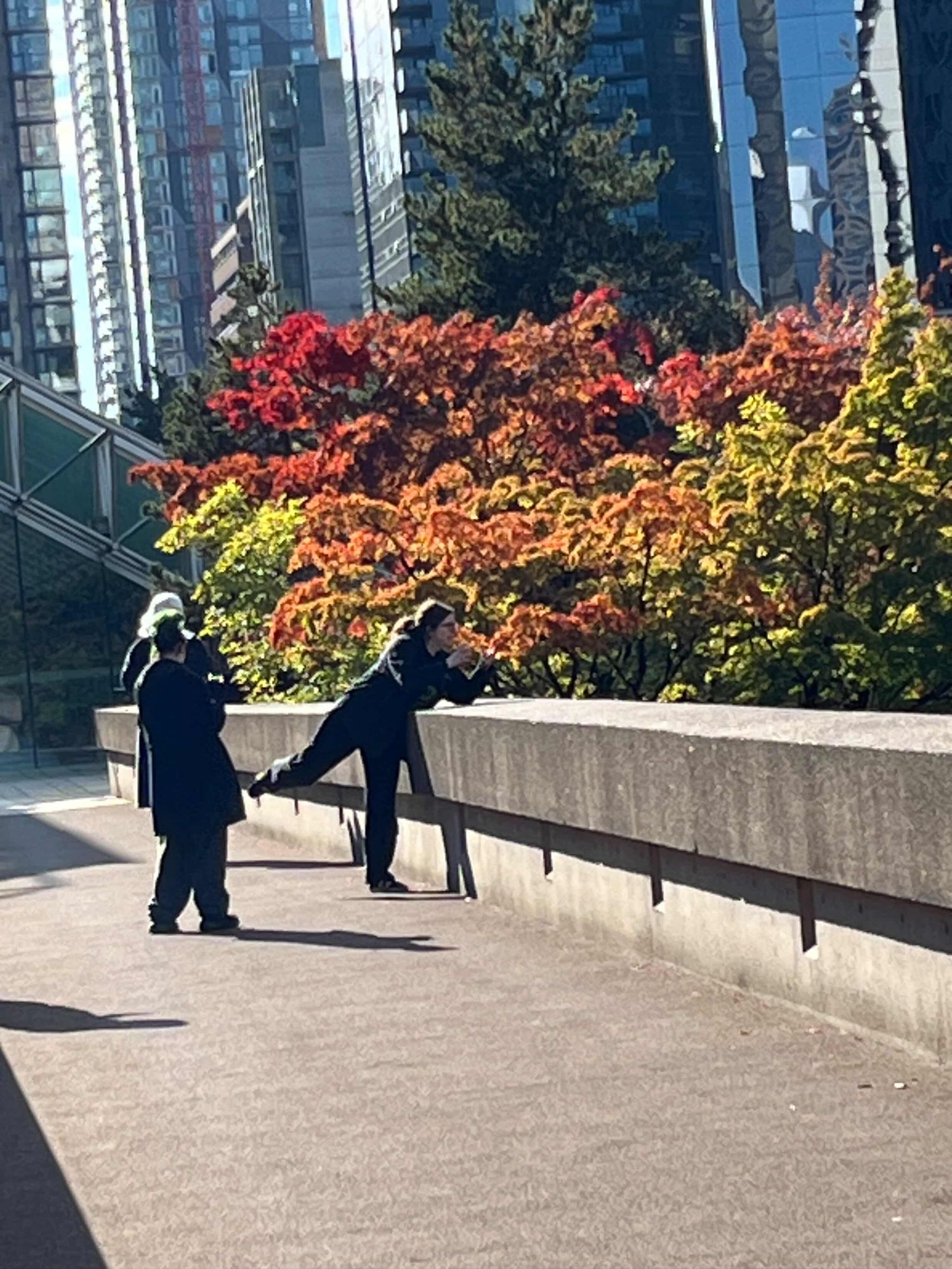 Two people posing in front of vibrant autumn foliage with city skyscrapers in background.