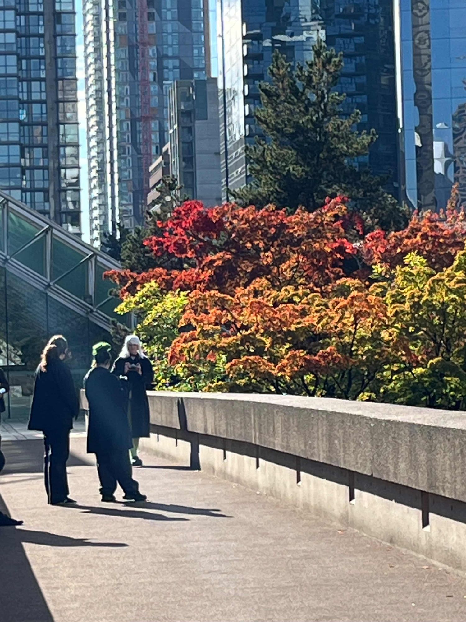 People walking along an urban promenade surrounded by colorful fall foliage and skyscrapers.