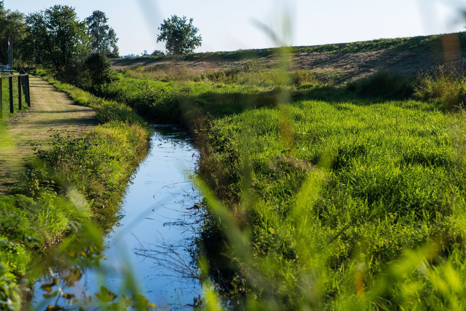 Narrow irrigation canal reflecting blue sky winding through vibrant green fields on a sunny day.