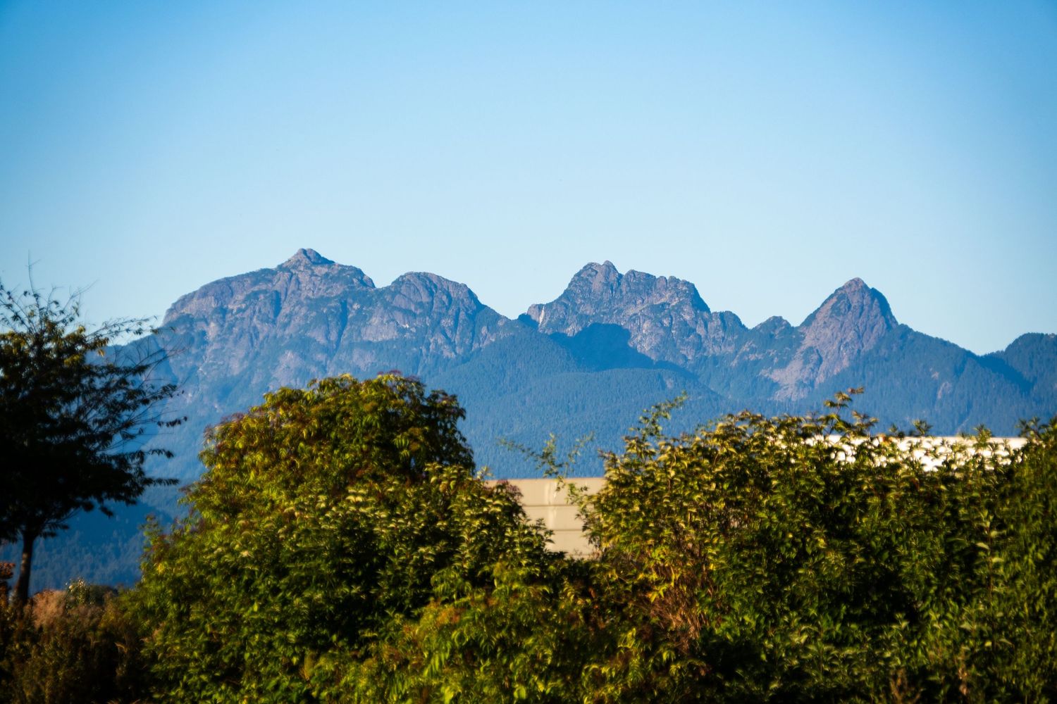 Rugged mountain peaks rise above lush green trees under a clear blue sky.