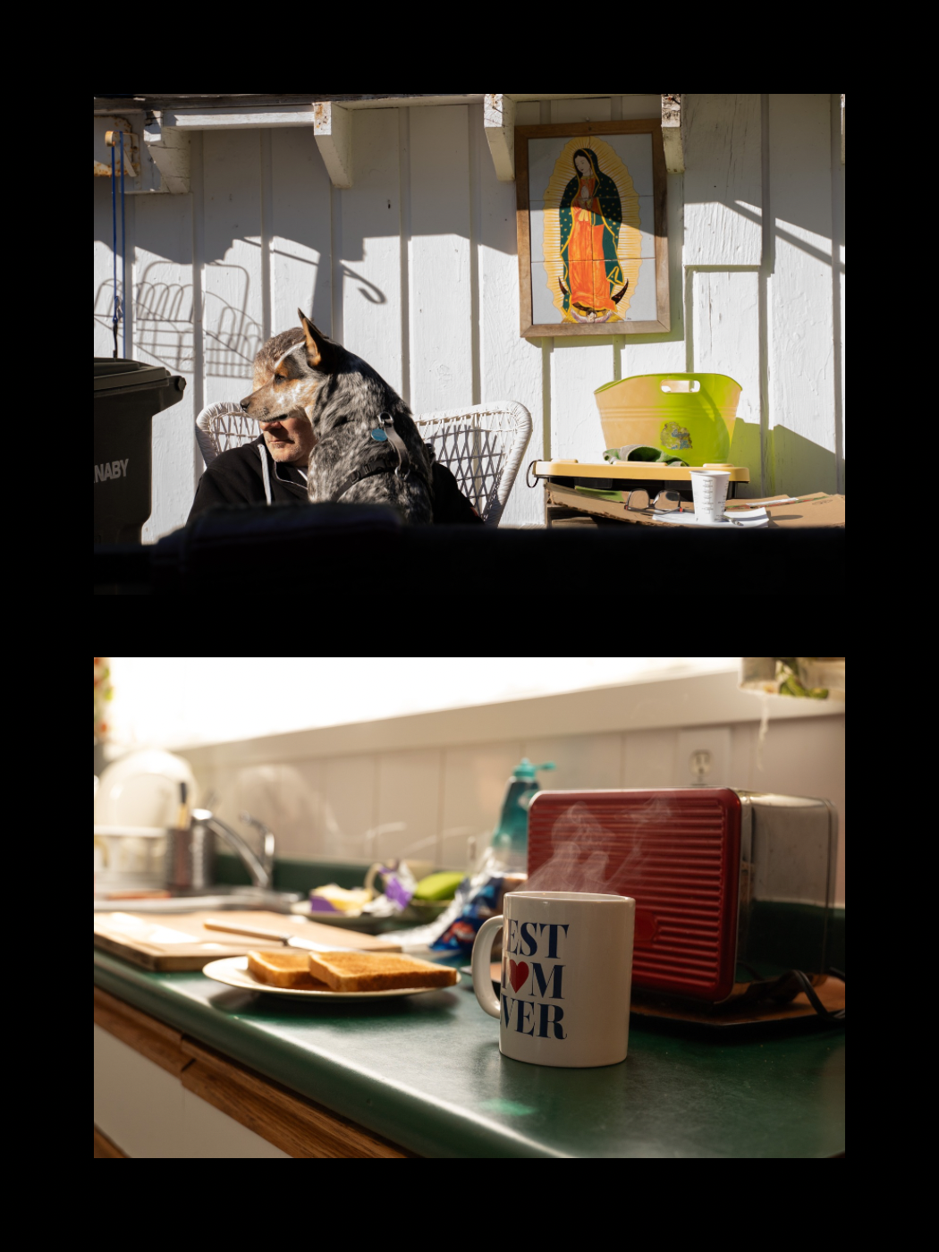A dog rests in a chair near a Virgin Mary painting while a kitchen counter holds a coffee mug below.