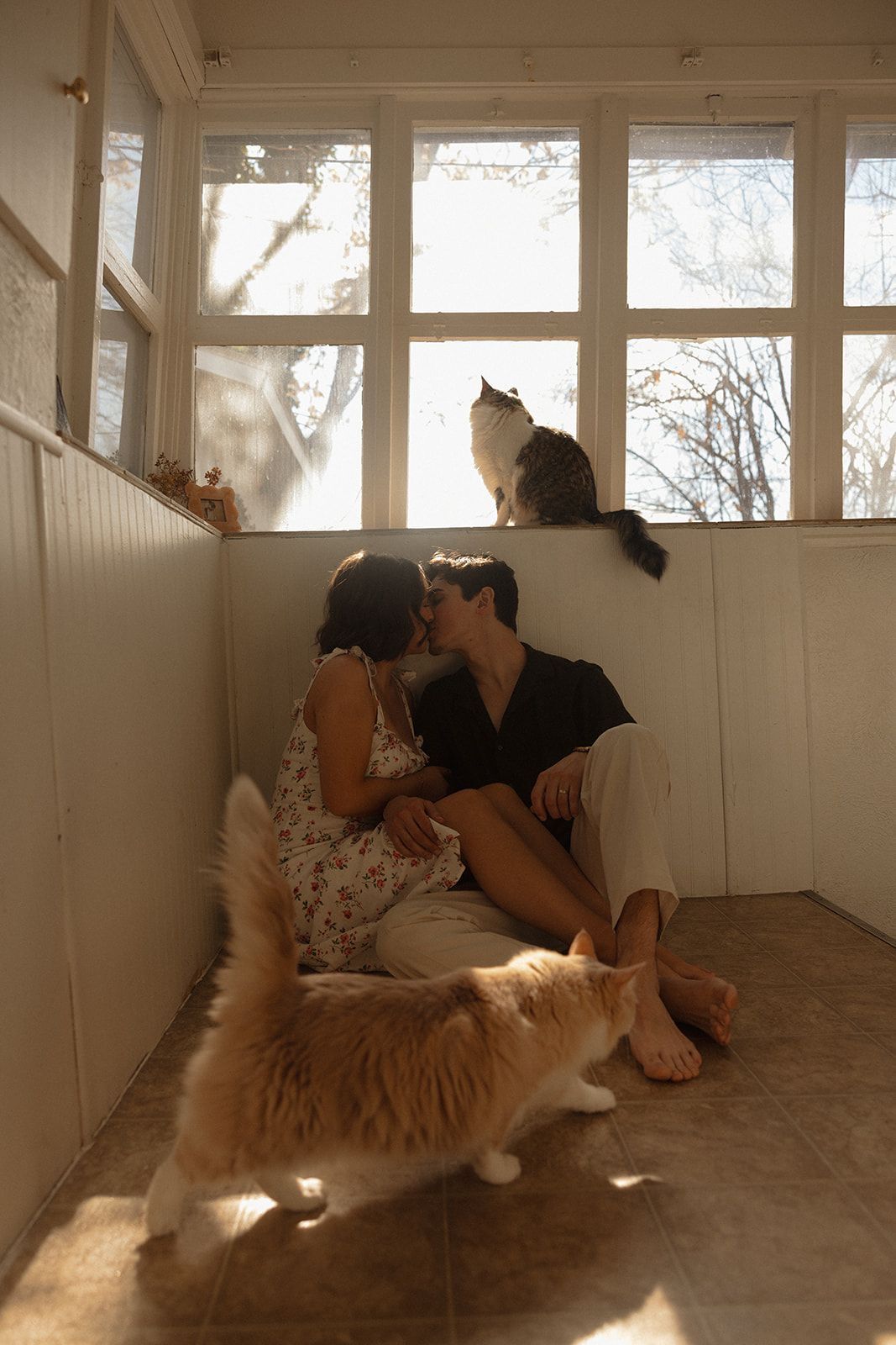Couple kissing on sunlit porch floor with fluffy orange cat walking by and tabby cat perched on windowsill.