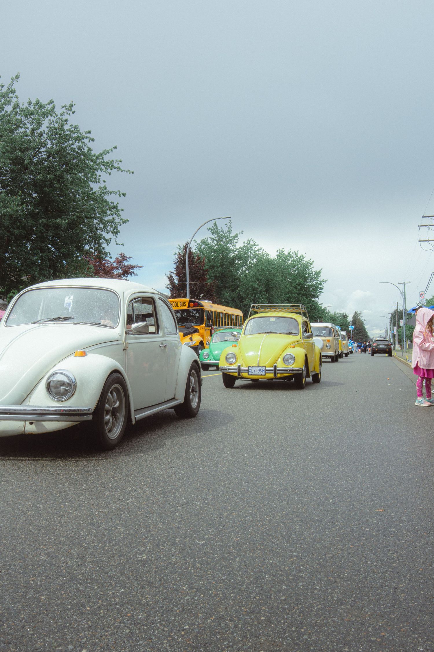 A row of classic VW Beetles in white and yellow drive down a suburban street during a parade.
