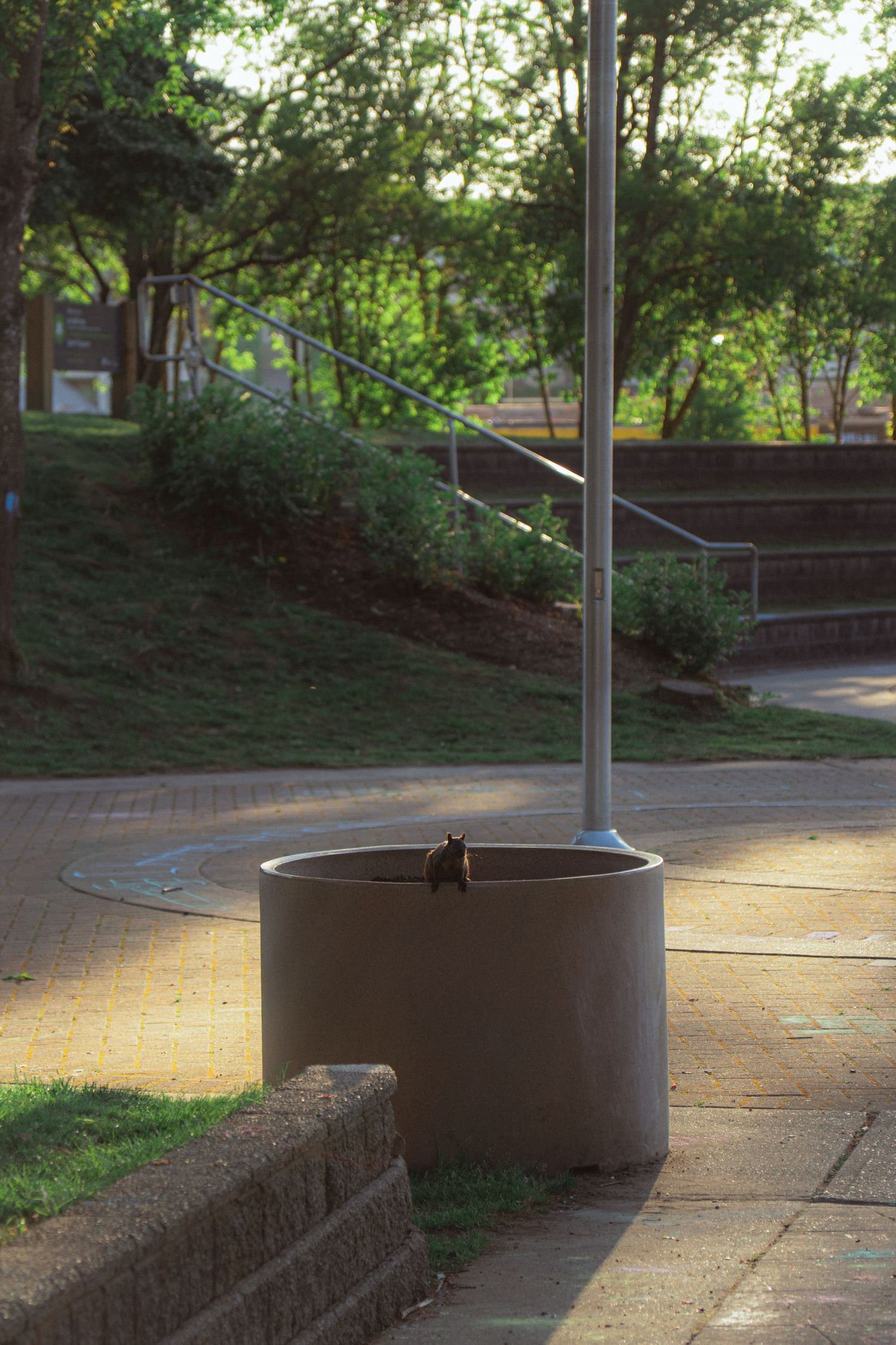 A concrete planter with a flagpole in a sunny park with stairs and green trees in background.