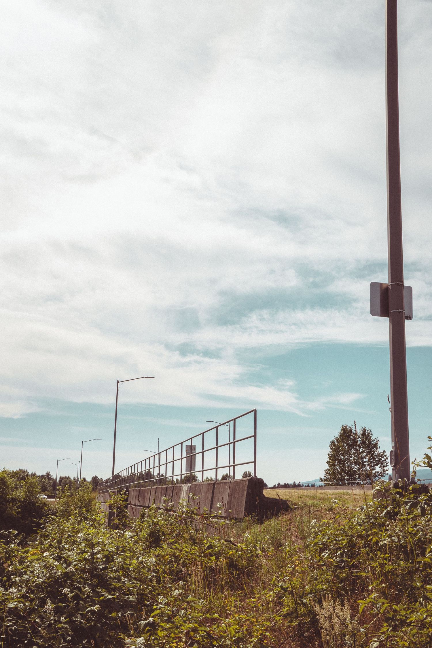 Abandoned concrete bridge with metal railings surrounded by overgrown vegetation under cloudy sky.