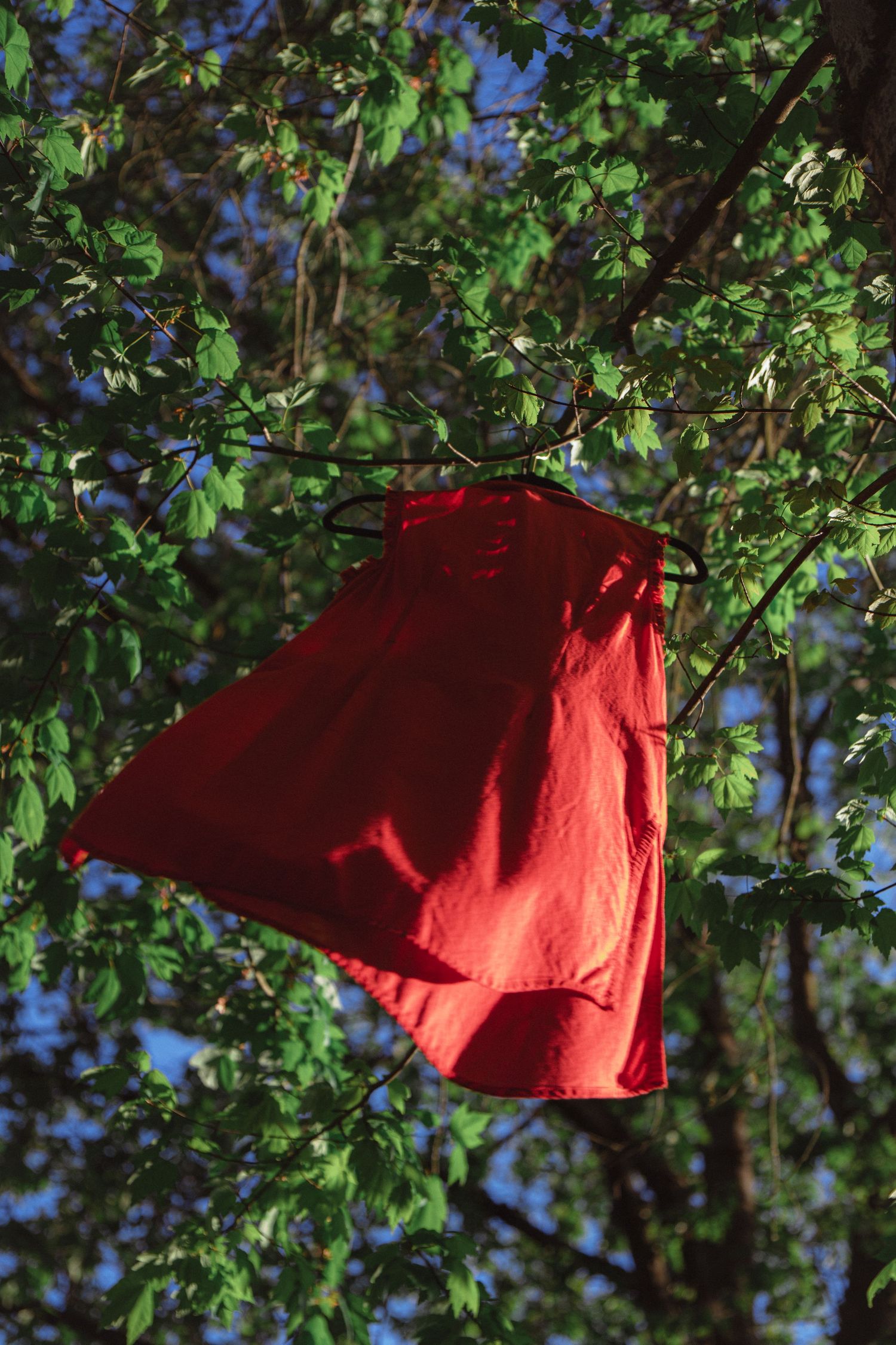 Red dress hanging from a hanger in green tree branches on a sunny day.
