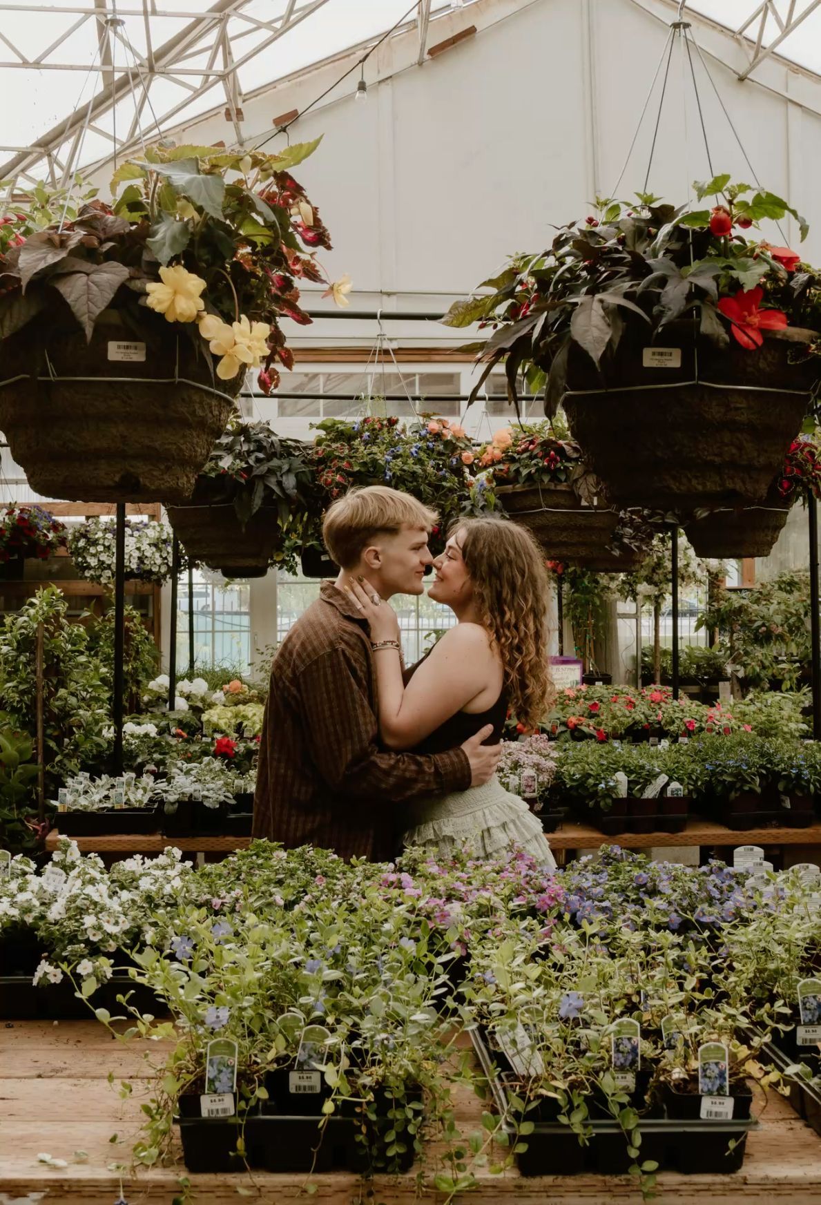 A couple shares a romantic kiss surrounded by lush hanging plants and colorful flowers inside a greenhouse.