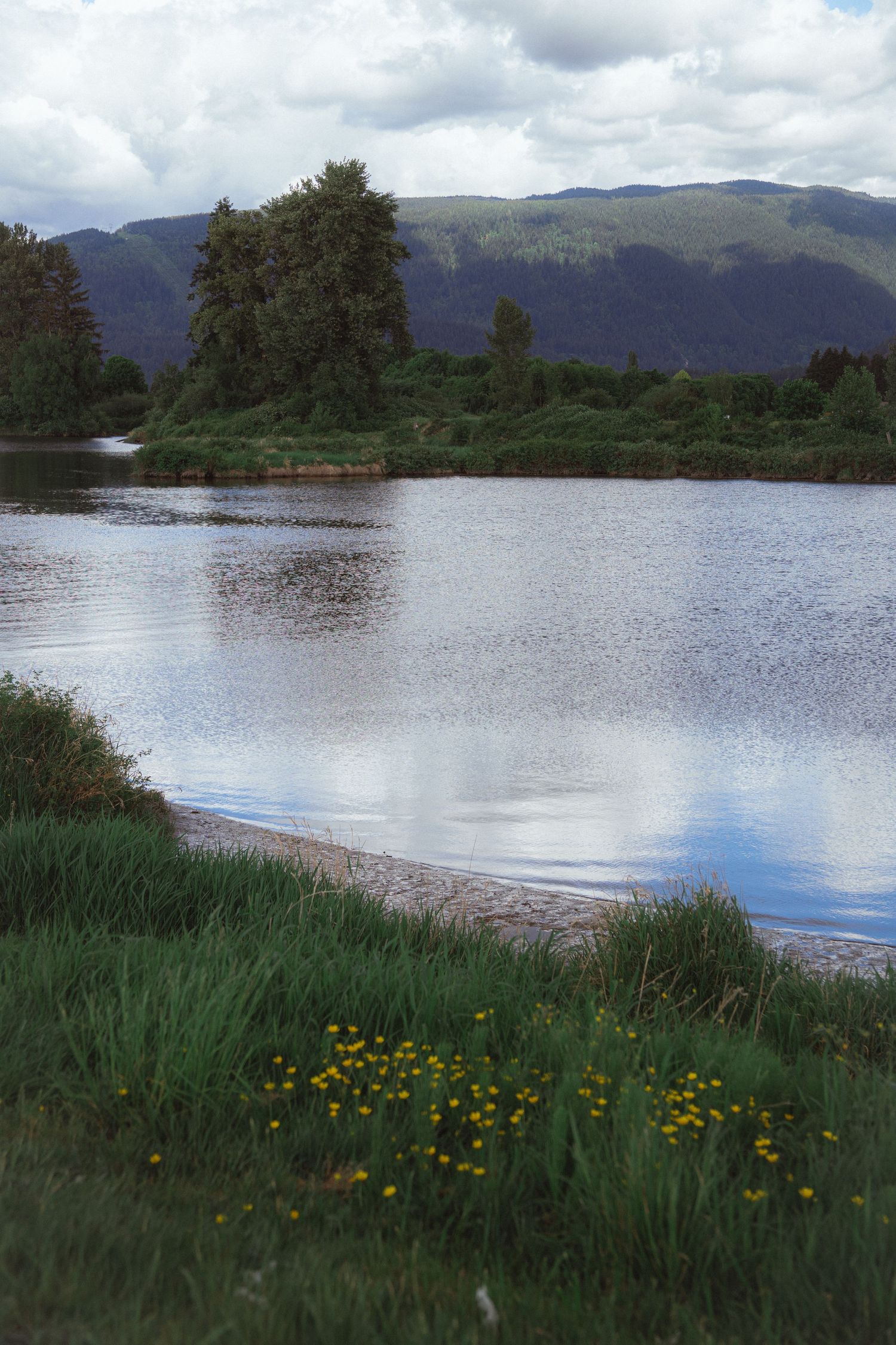 Tranquil lake reflecting clouds with yellow wildflowers, green grass, and mountain backdrop.