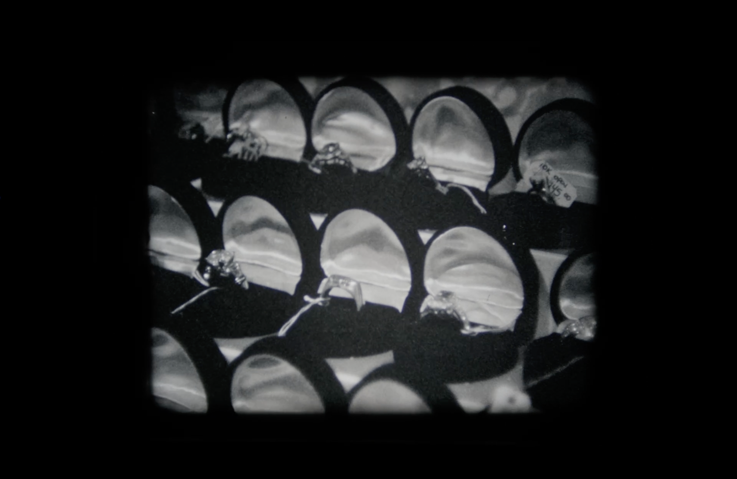 Black and white film still showing rows of arched shapes with floral details in a dramatic contrast pattern.
