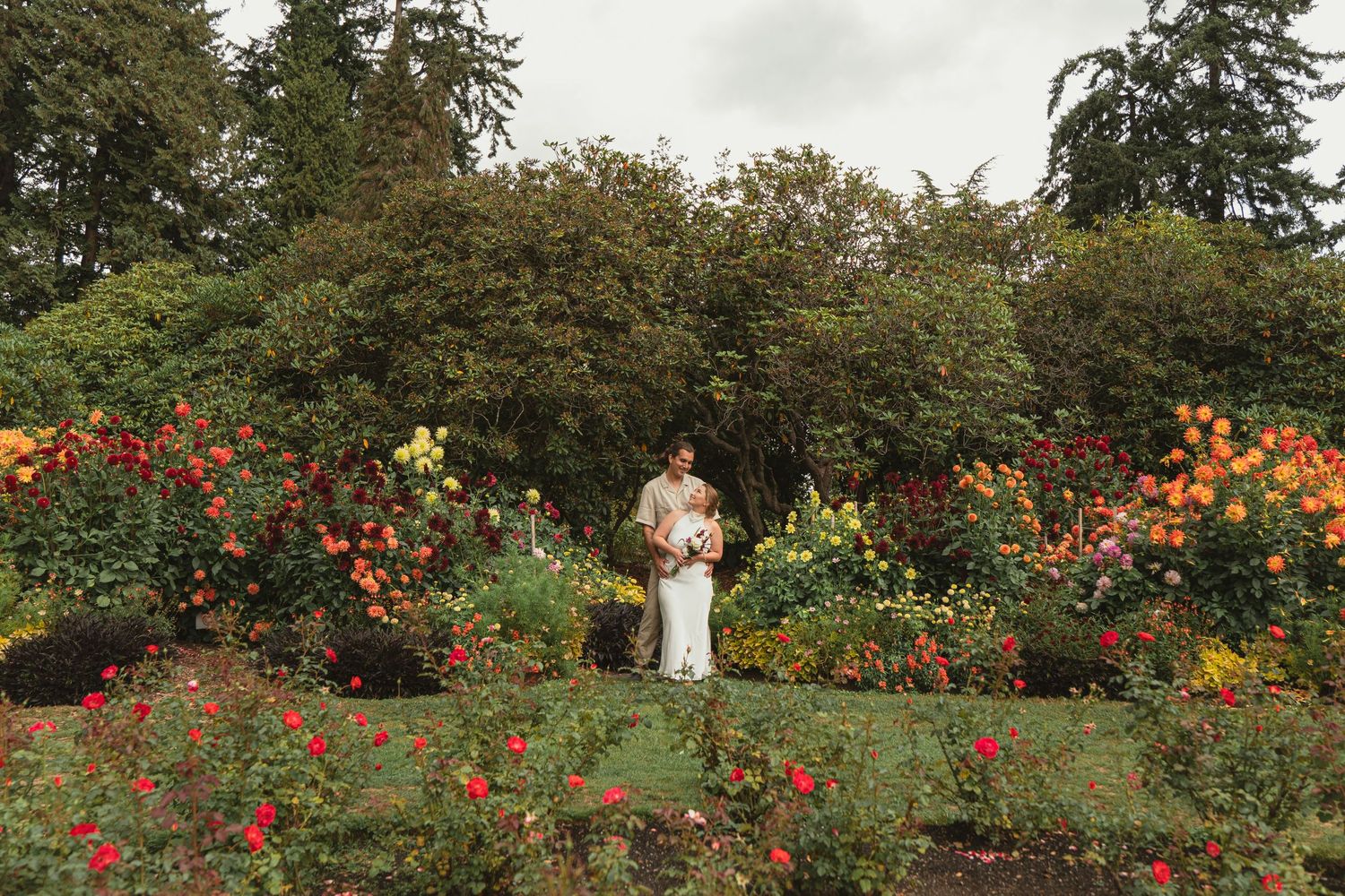 Couple standing among vibrant red and orange roses in a lush garden, surrounded by tall green trees.