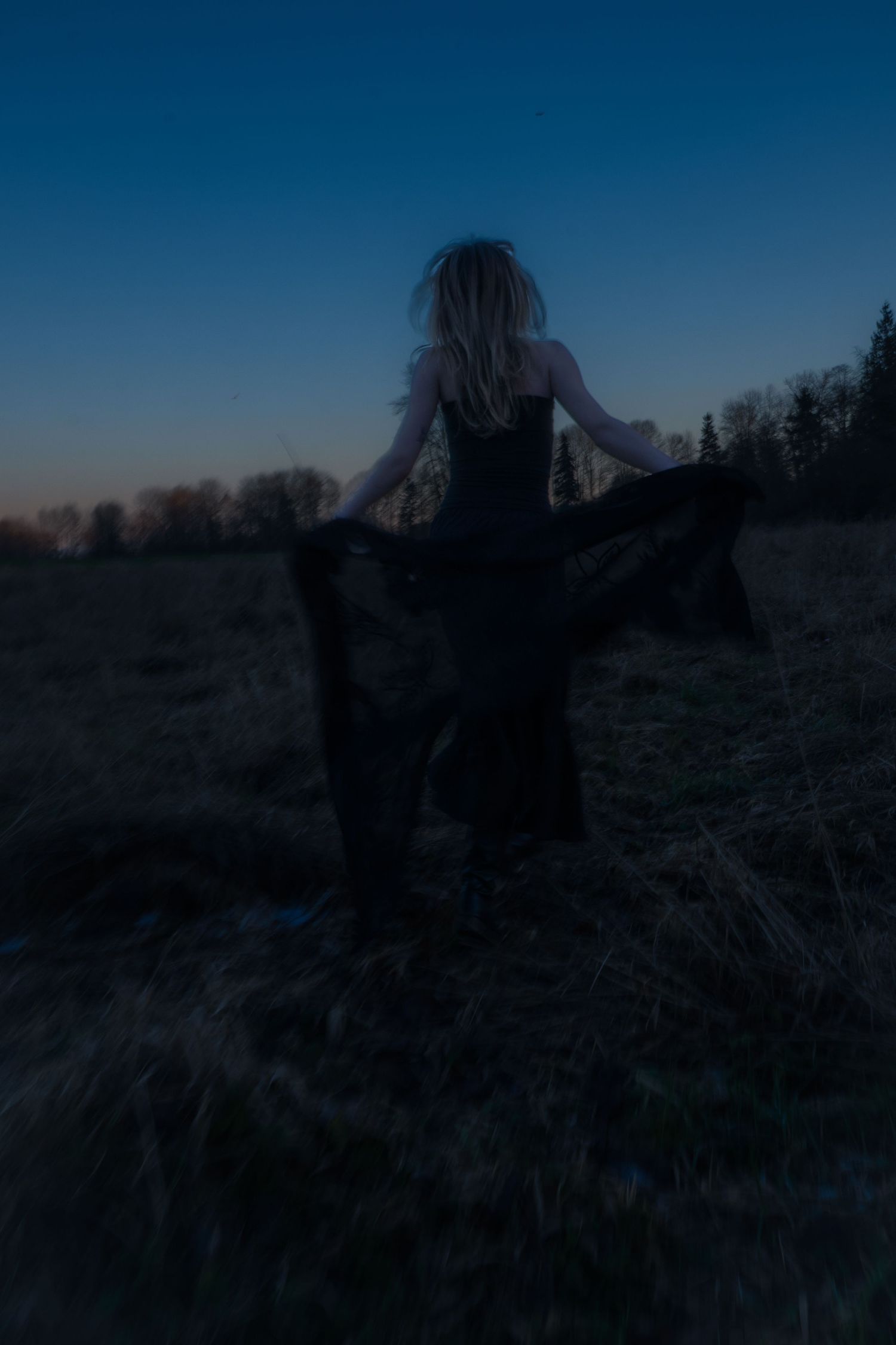 Silhouette of a blonde woman in a black dress standing in a dark field at twilight.