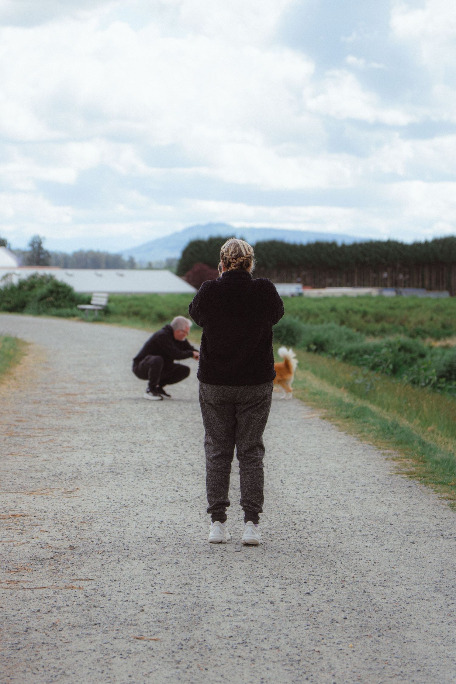Two people and a dog walking on a rural gravel path surrounded by green fields and mountains.