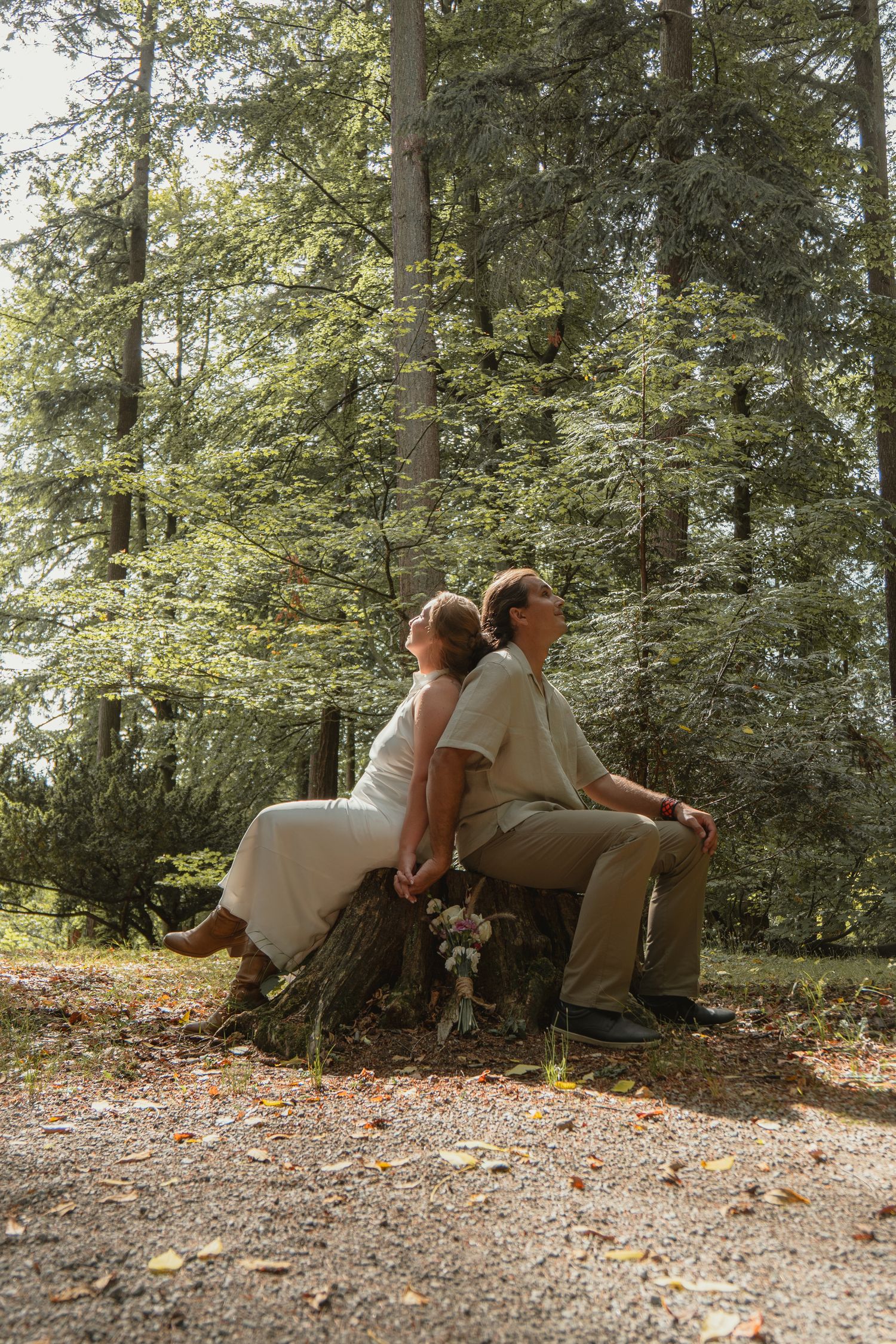 Bride and groom sit back-to-back on a tree stump holding hands in a serene forest setting.