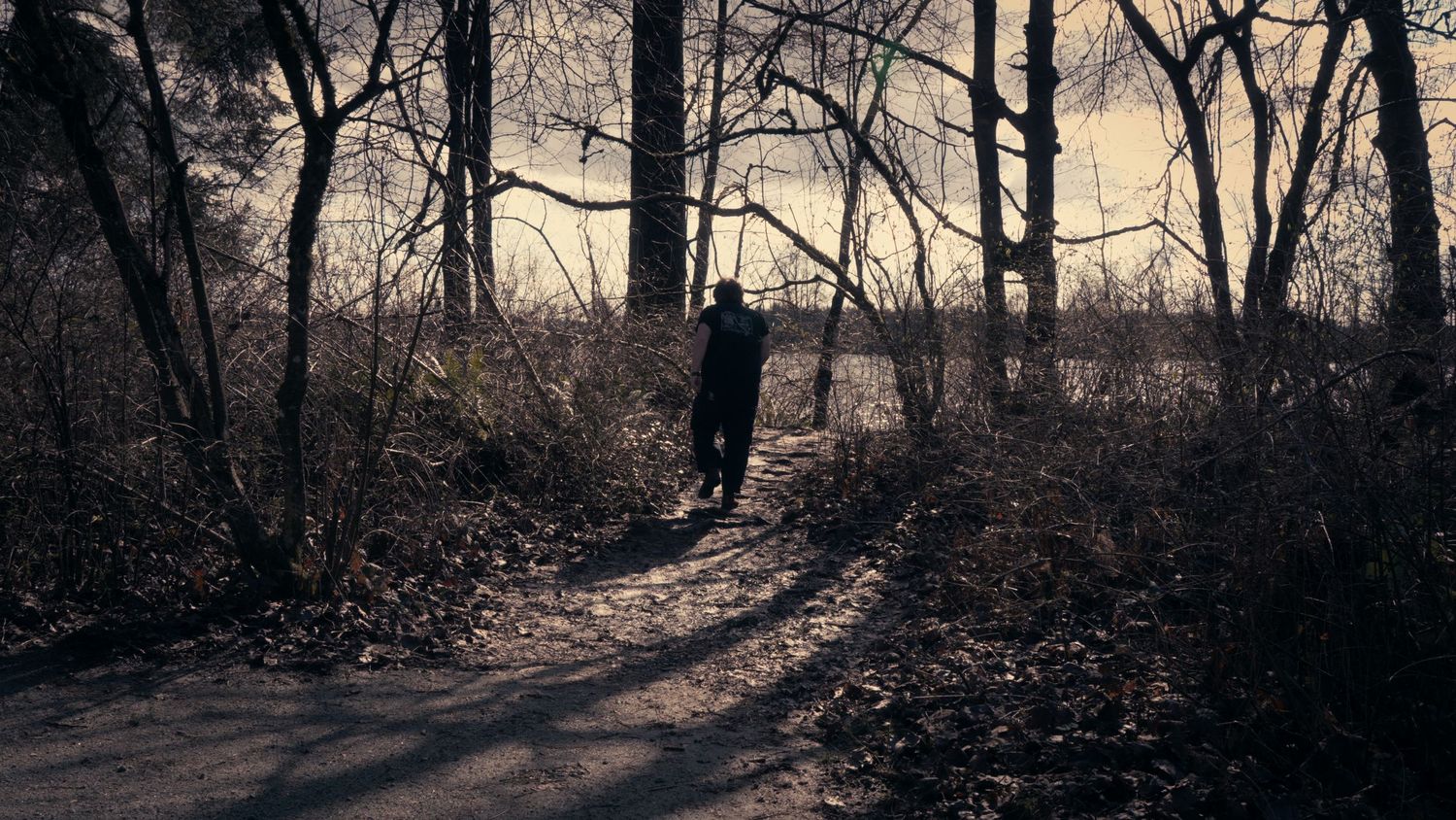 Silhouette of a person walking alone on a forest path surrounded by bare trees in a dark moody landscape.