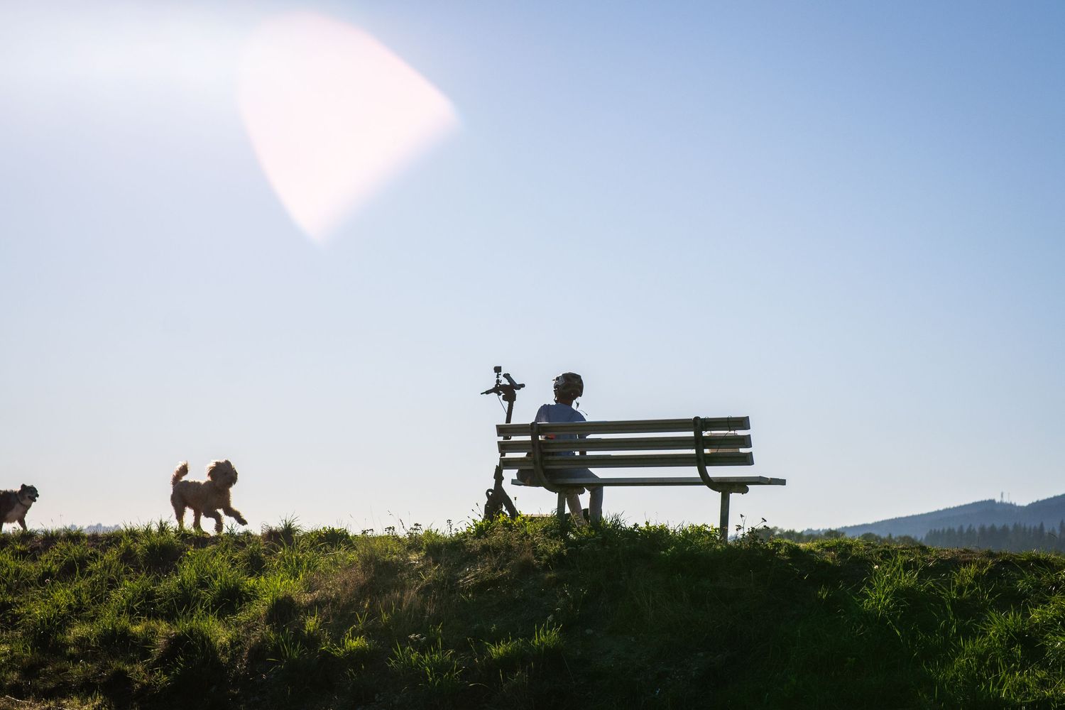 Silhouette of a person sitting on a park bench with two dogs running on a sunny hilltop.
